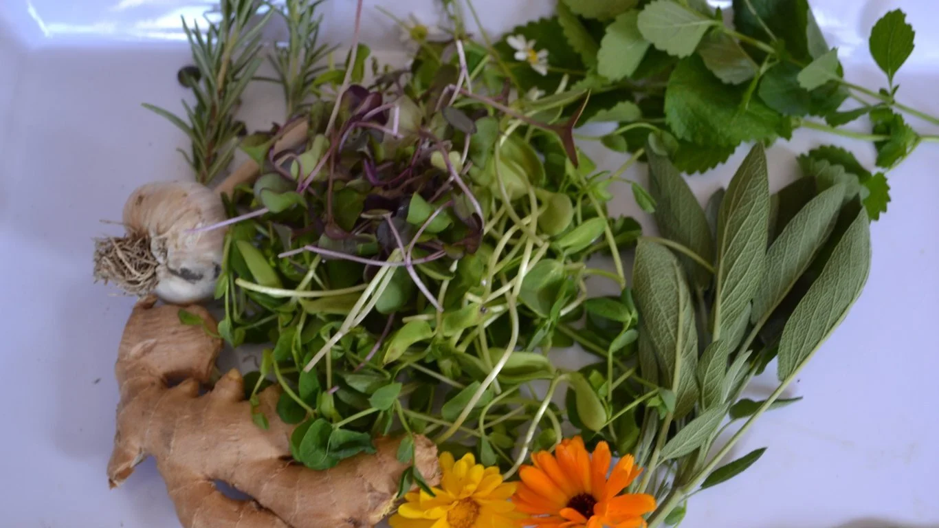 Nourishing Your Health with Microgreens and Herbs