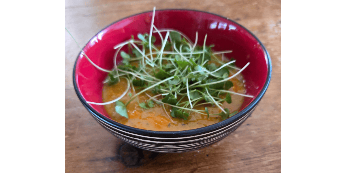 Simple, Tasty Lentil Soup with Microgreens