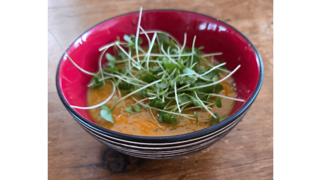 Lentil Soup Topped with Microgreens