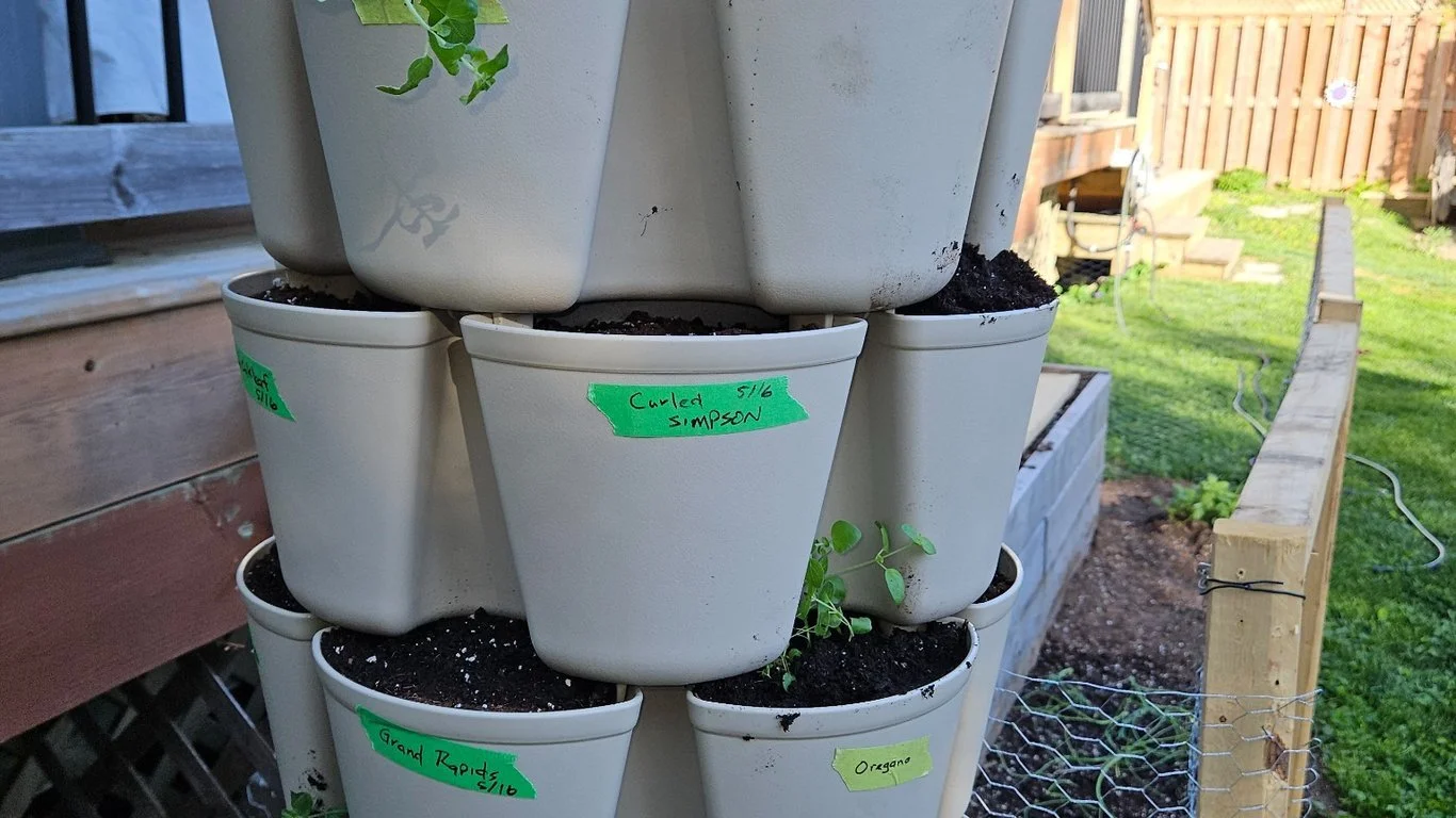 Vertical Planter maximizing 2 sq ft growing area.