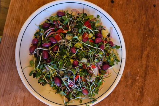Plate of salad with microgreens, olives, tomatoes, and sprouts on wooden table.