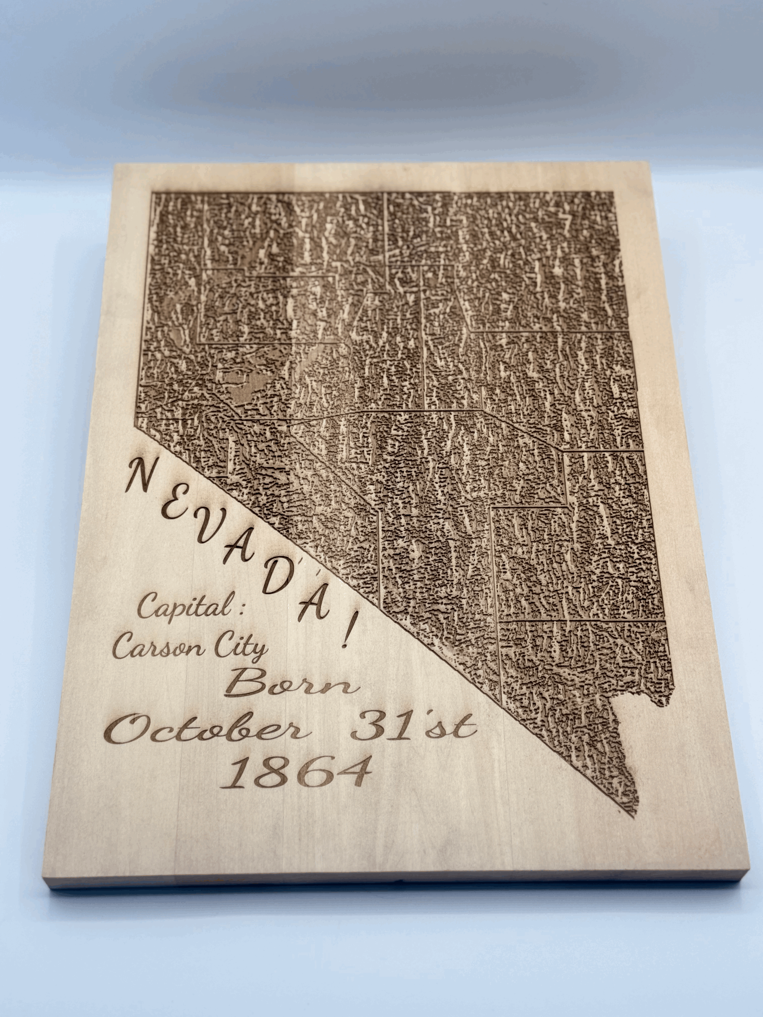 Topographic Nevada Map Wood Sign