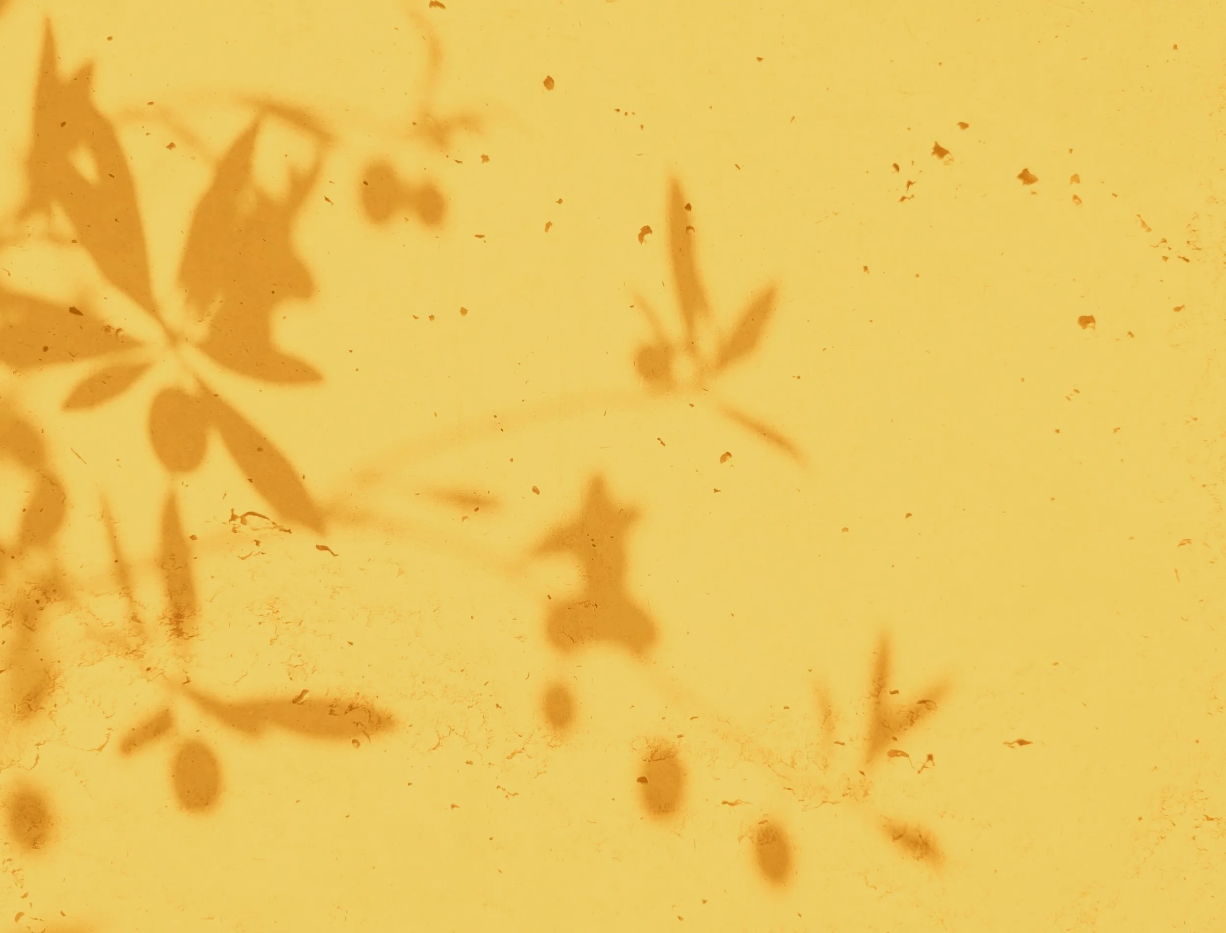 Noor Hindi - Mars Drum