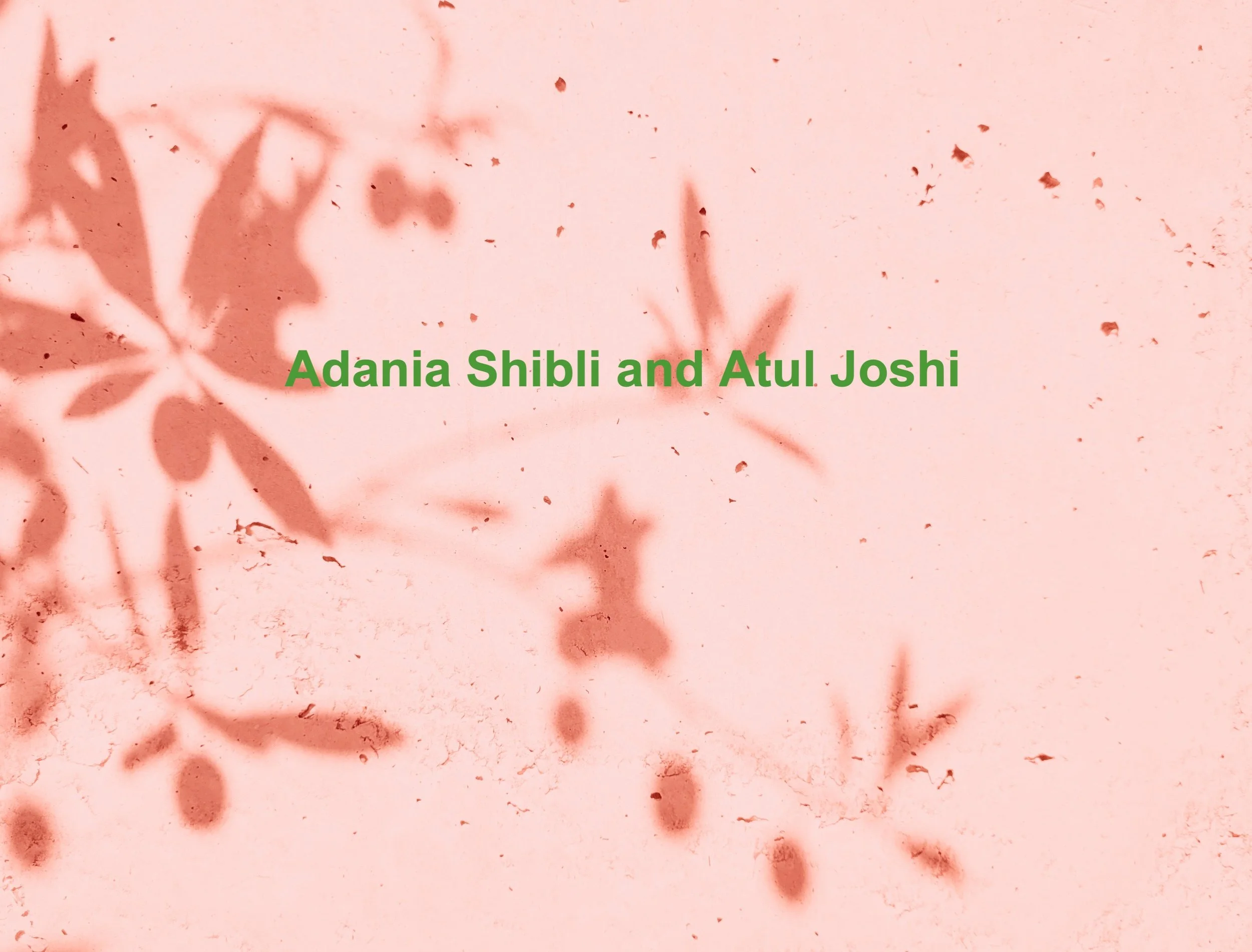 Adania Shibli - Atul Joshi