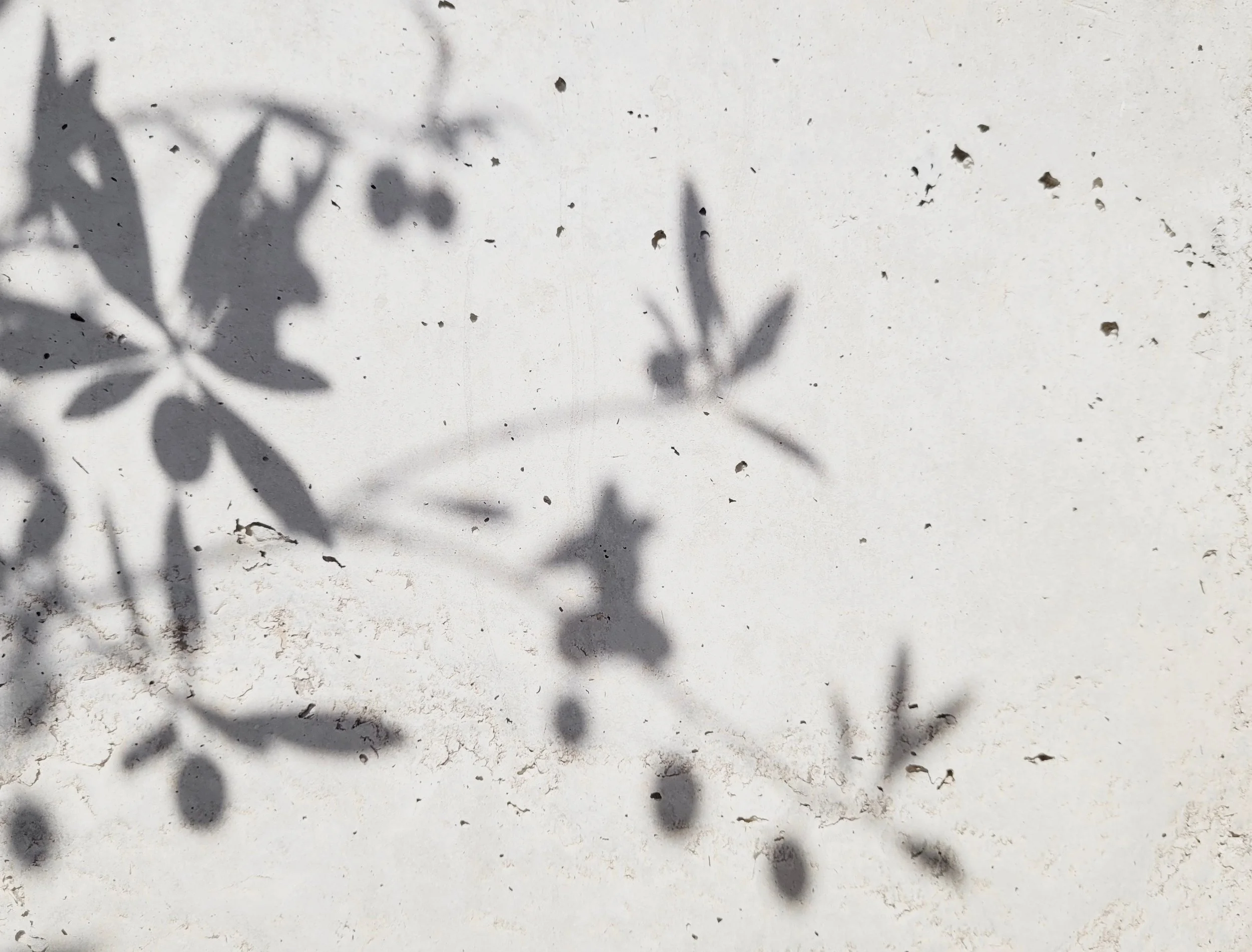 Rafeef Ziadeh + Janet Galbraith