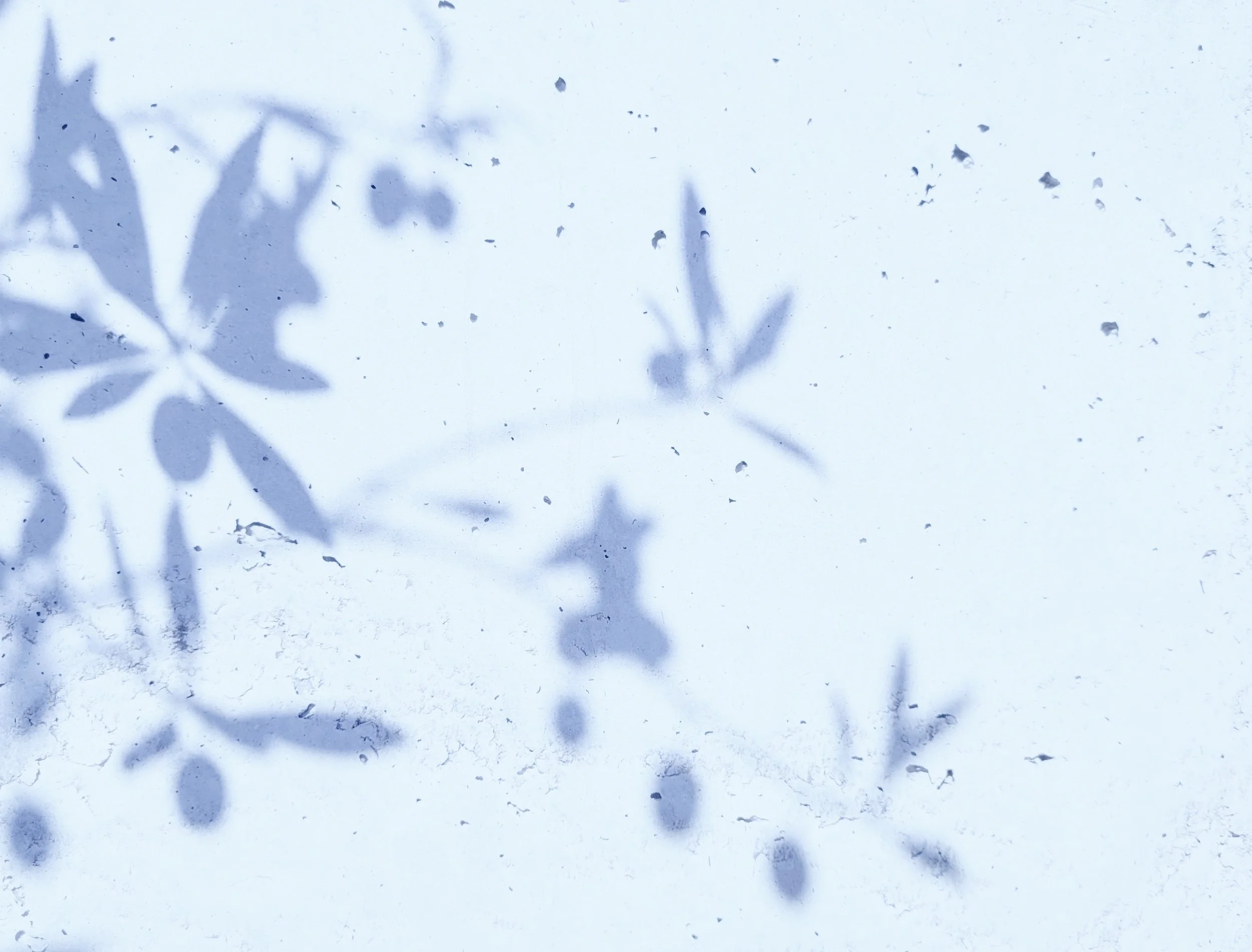 Lena Khalaf Tuffaha - Alice Wanderer