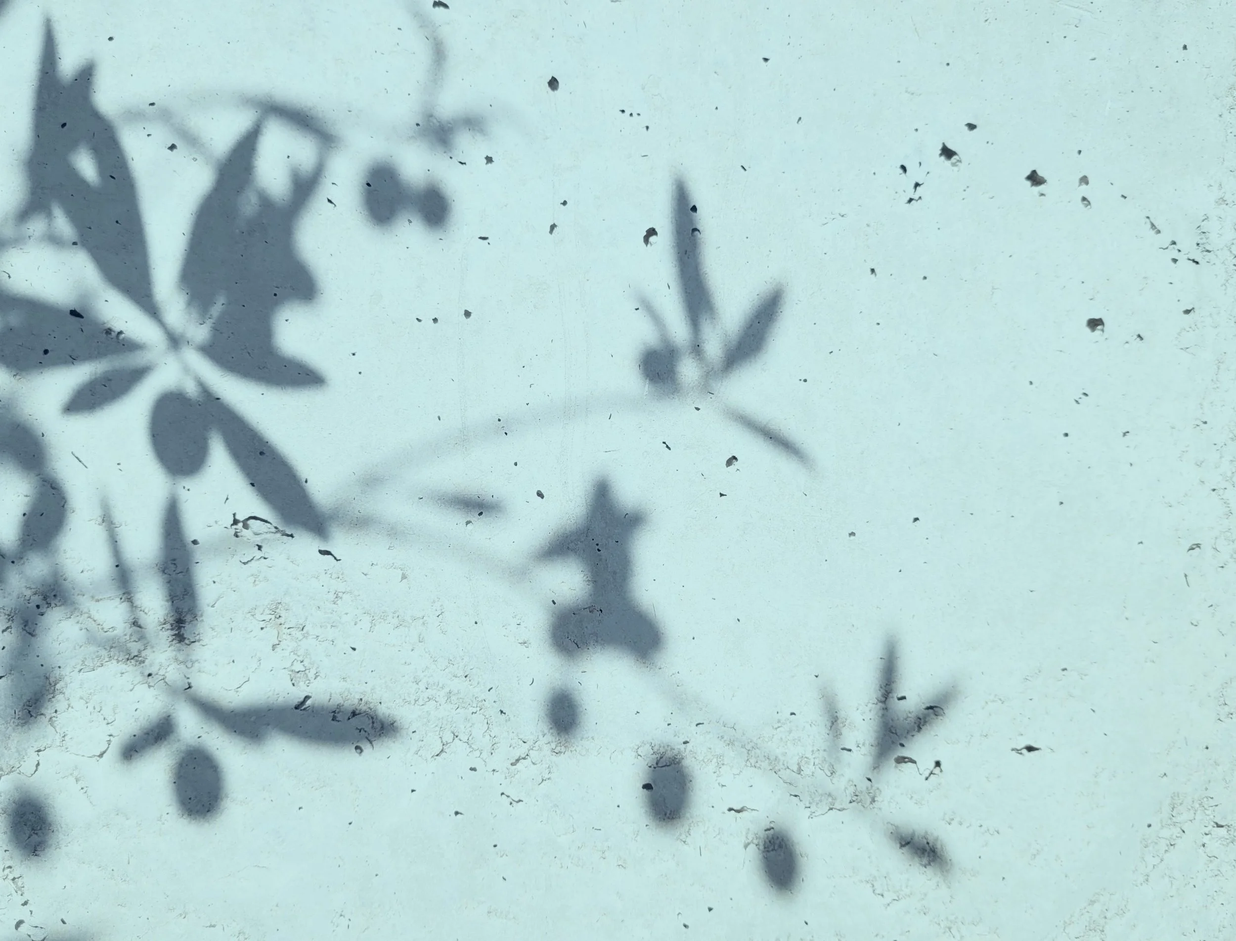 Randa Abdel-Fattah + Hind Khoudary - Stu Hatton