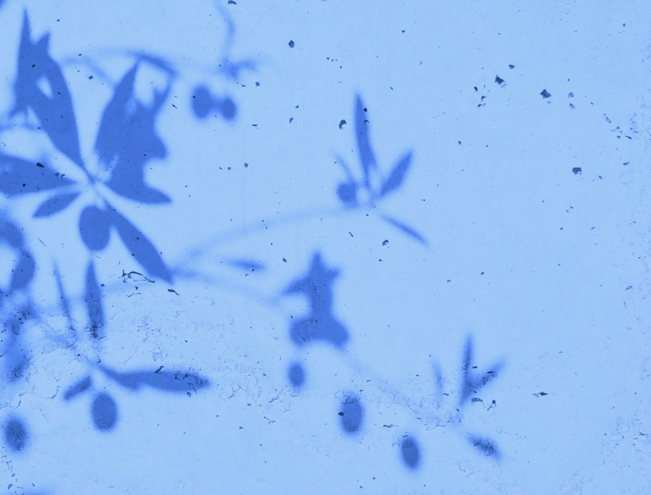 Mosab Abu Toha - Sriharan Ganeshan