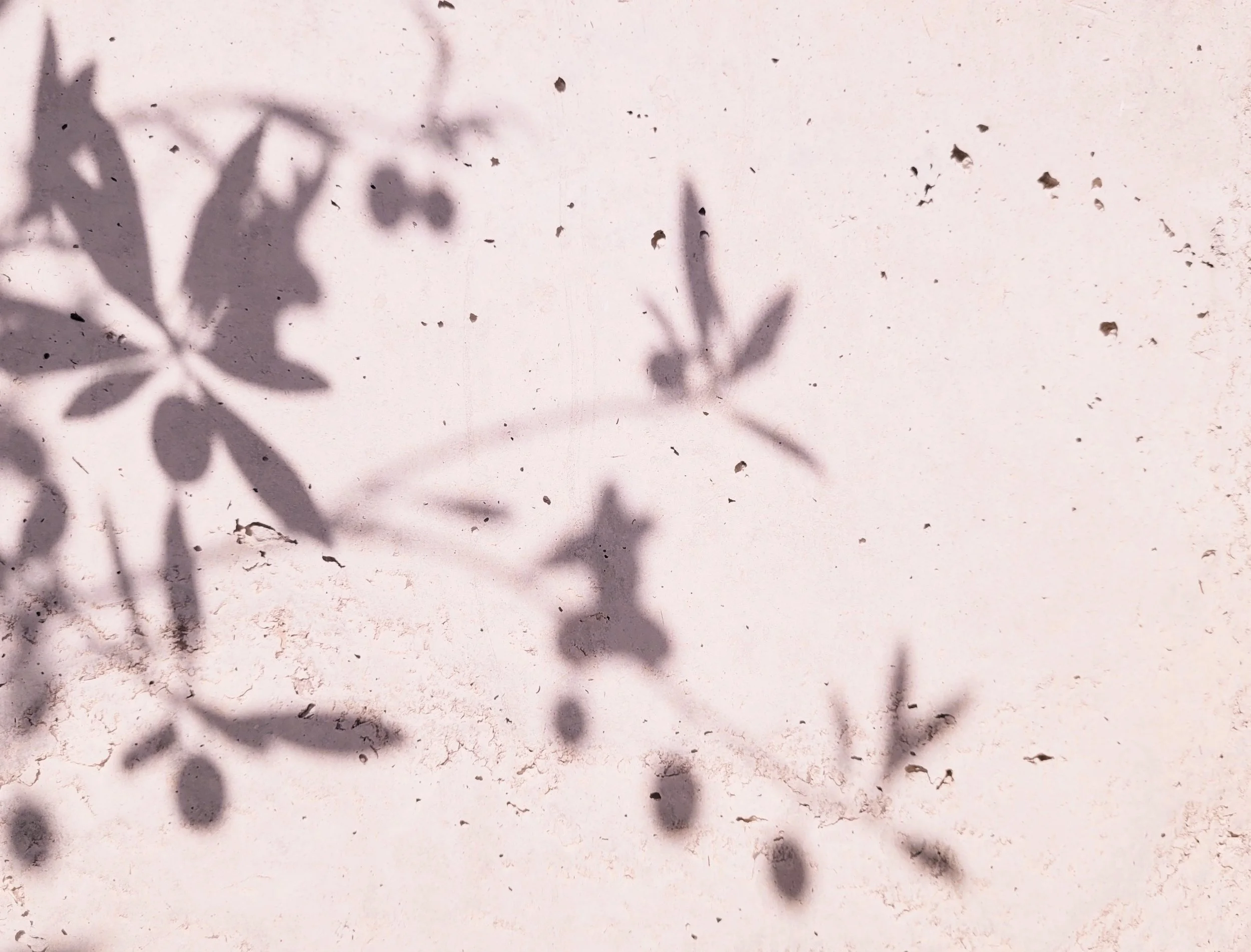 Ashraf Fayadh - Dimitris Troaditis