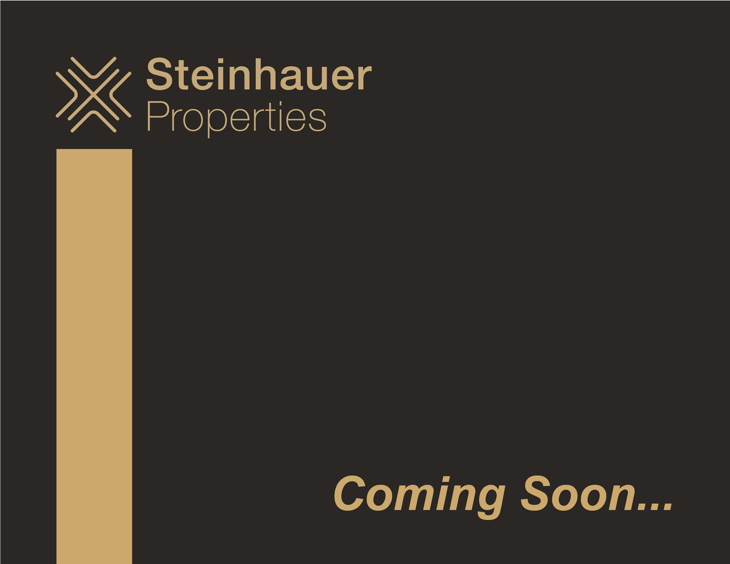 Steinhauer Properties - Social Media, Print Design