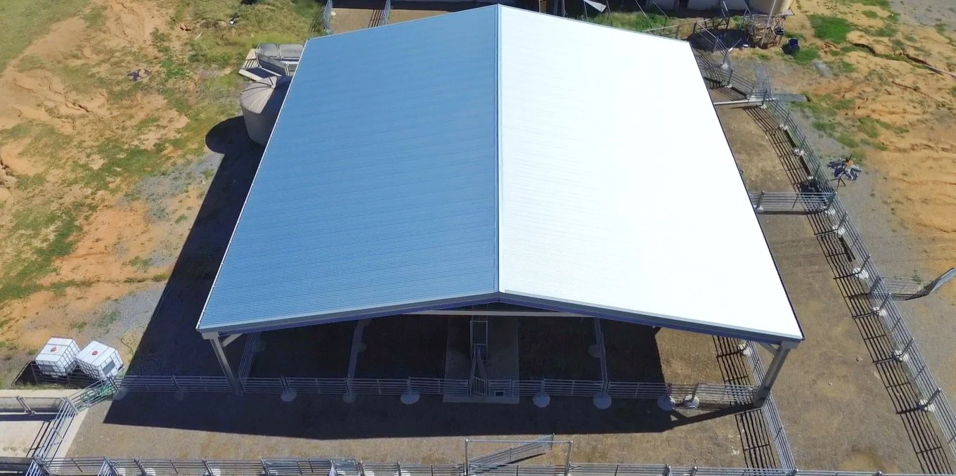 Shed Building 2.jpg