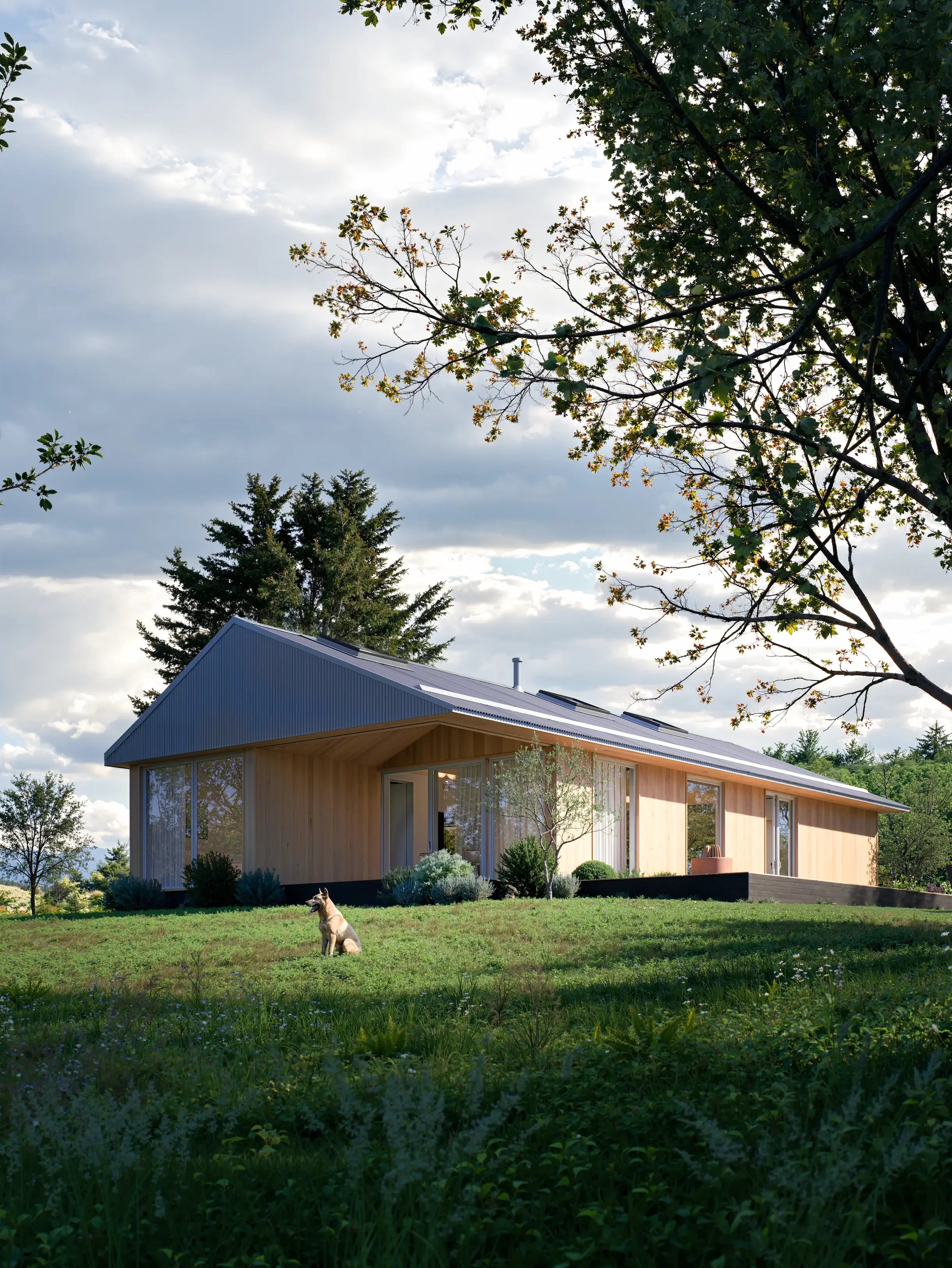 A modern wooden house with large windows, surrounded by green grass and trees, under a partly cloudy sky. There is a sitting dog in the foreground.