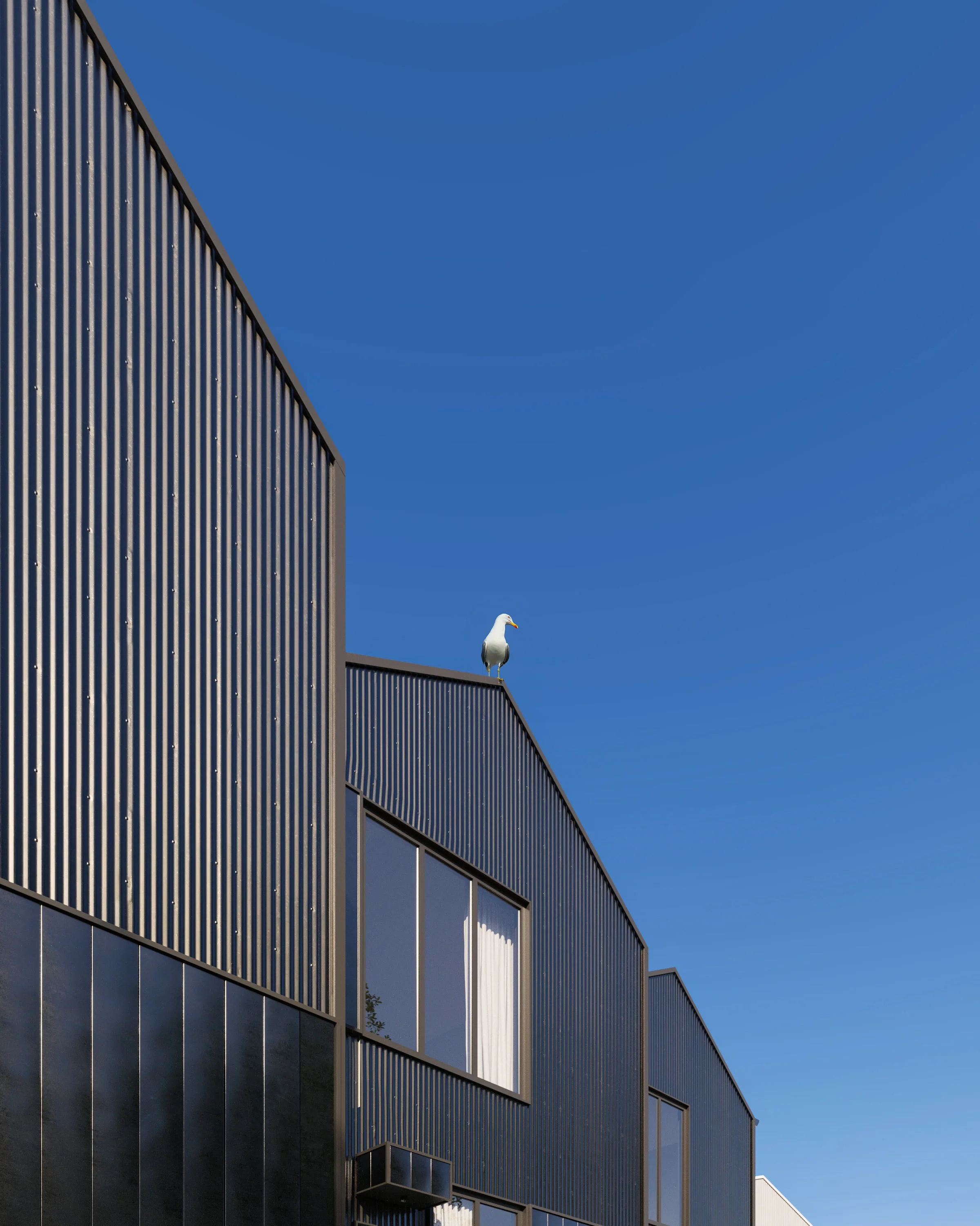 A seagull perched on the rooftop edge of a modern building with curtain windows, against a clear blue sky.