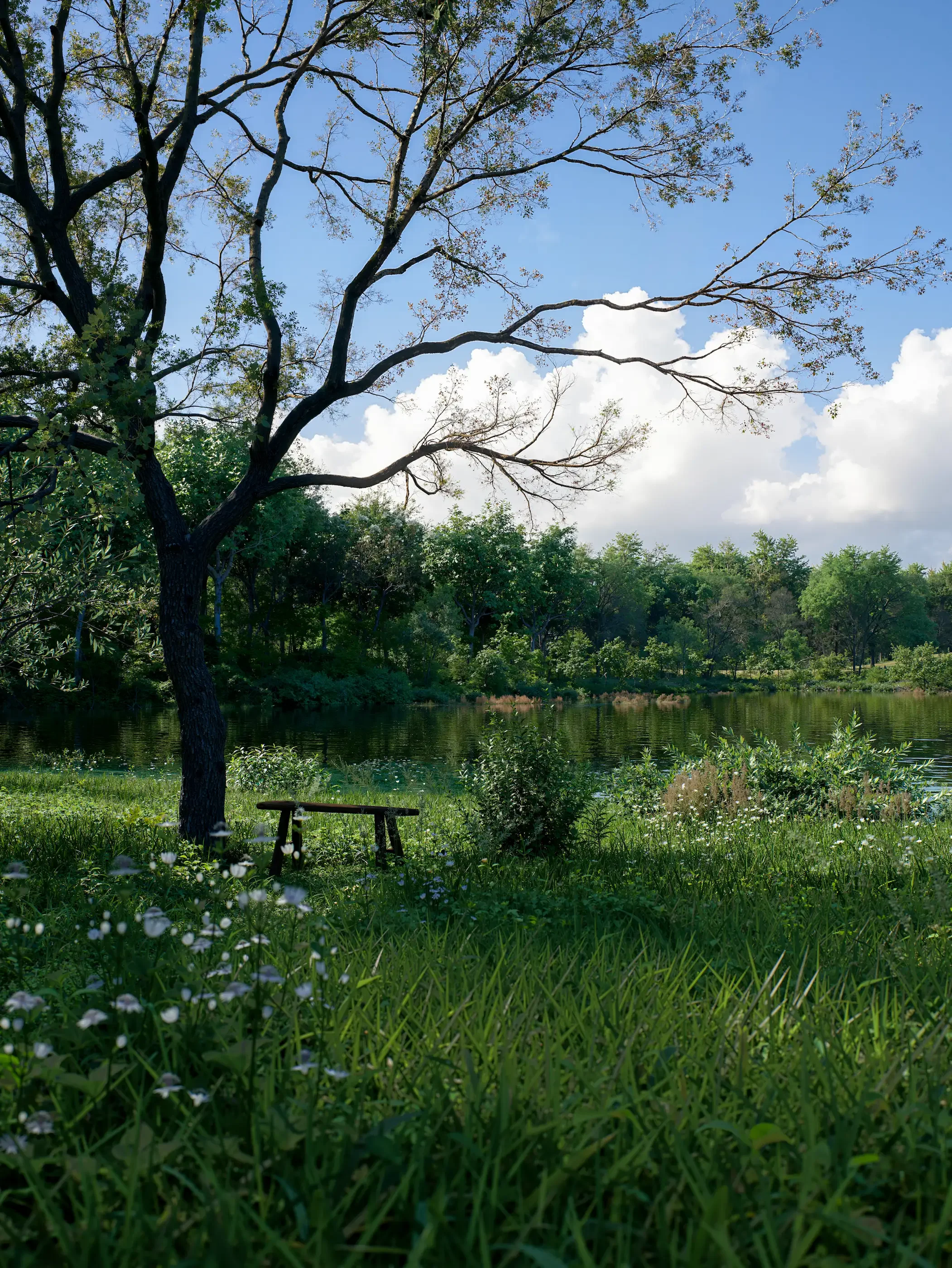 A serene landscape with a large tree near a calm body of water, surrounded by green grass and bushes, under a partly cloudy sky.