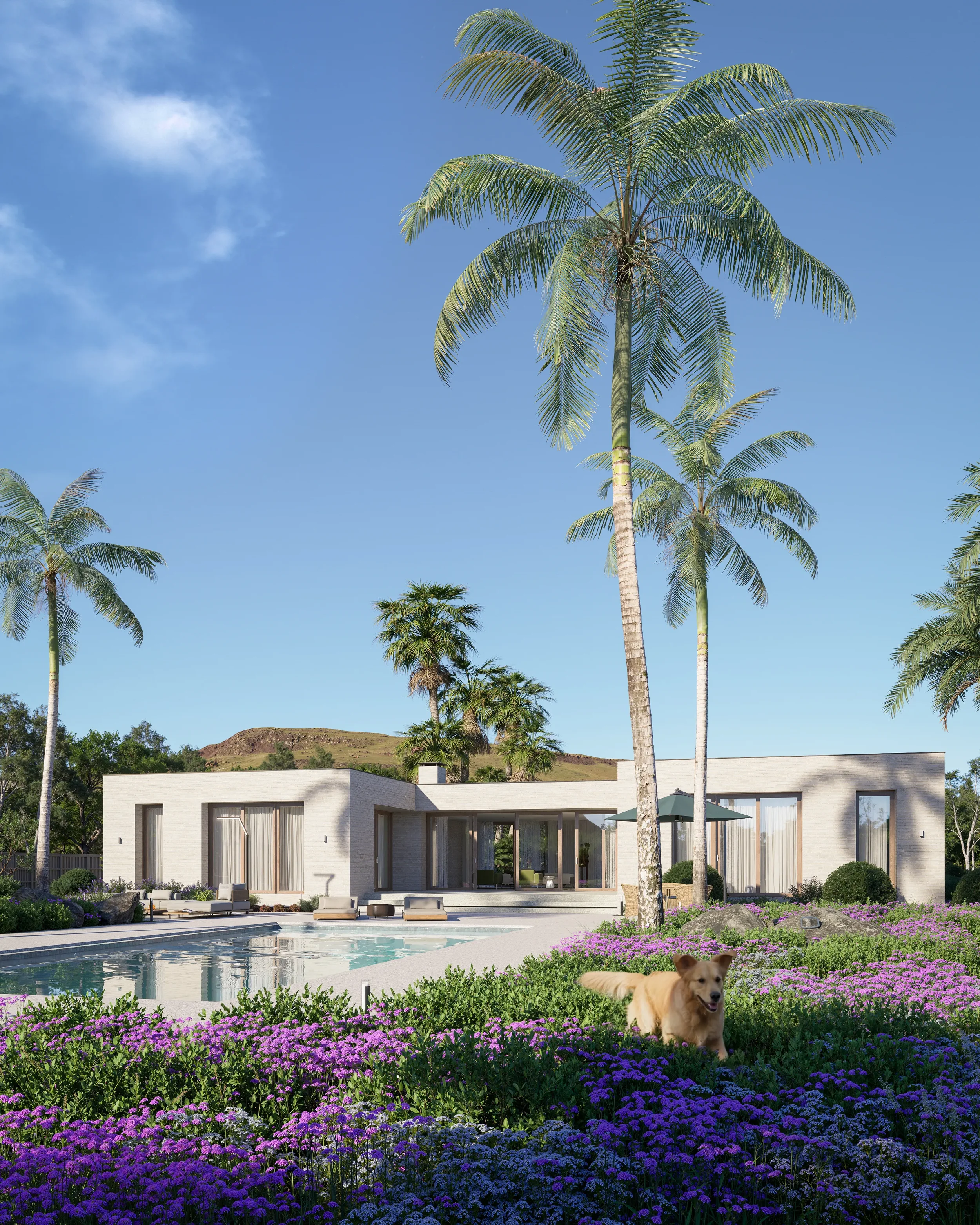 SP HOUSE (9).webp