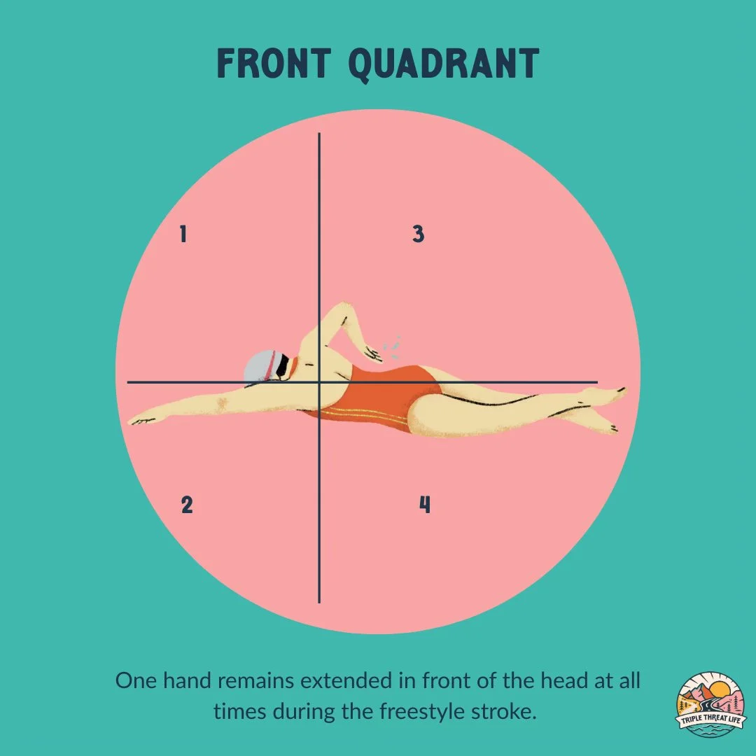 A graphic explaining how to swim front quadrant freestyle