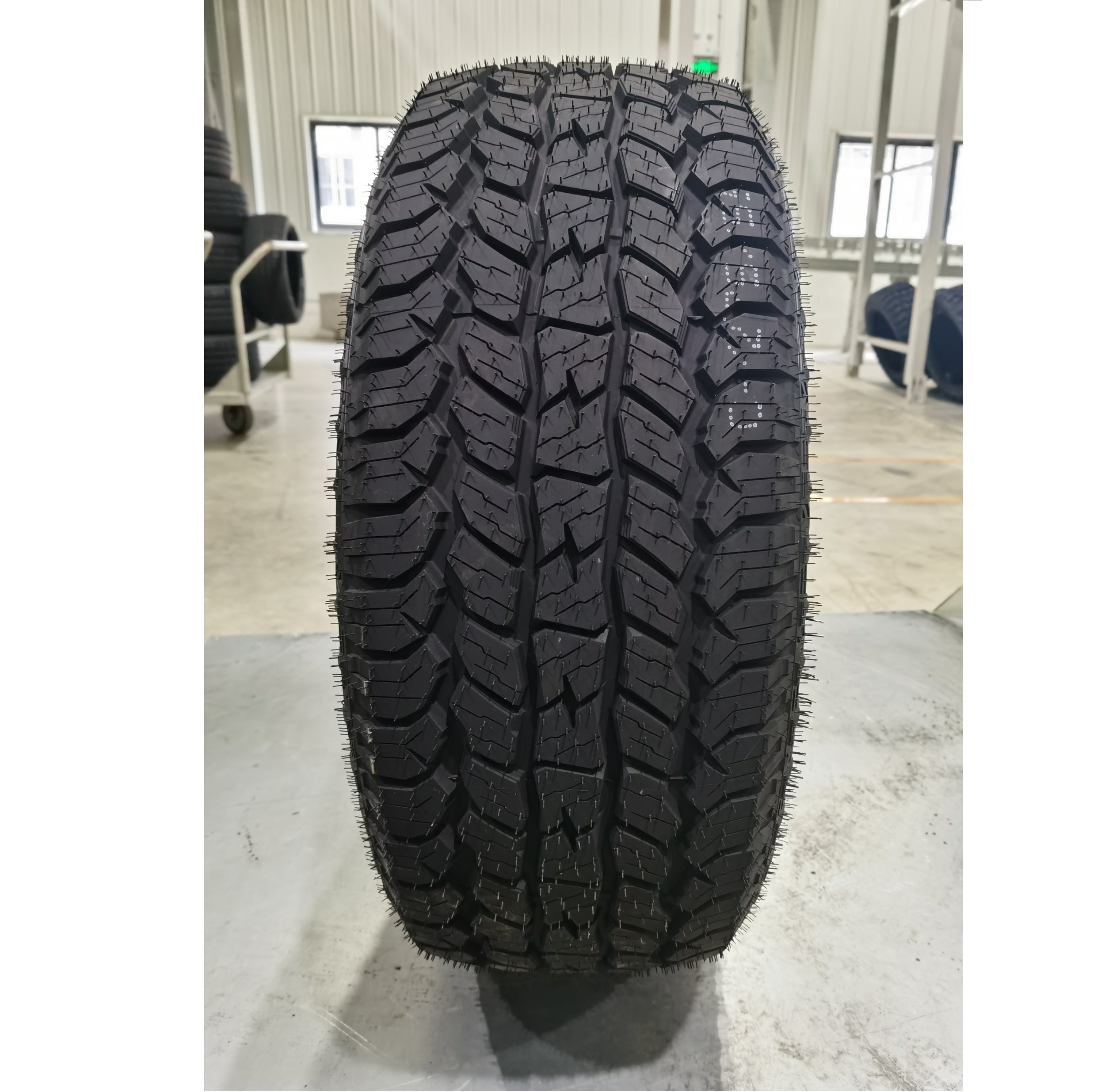 MILETRIP AT TIRE.jpg