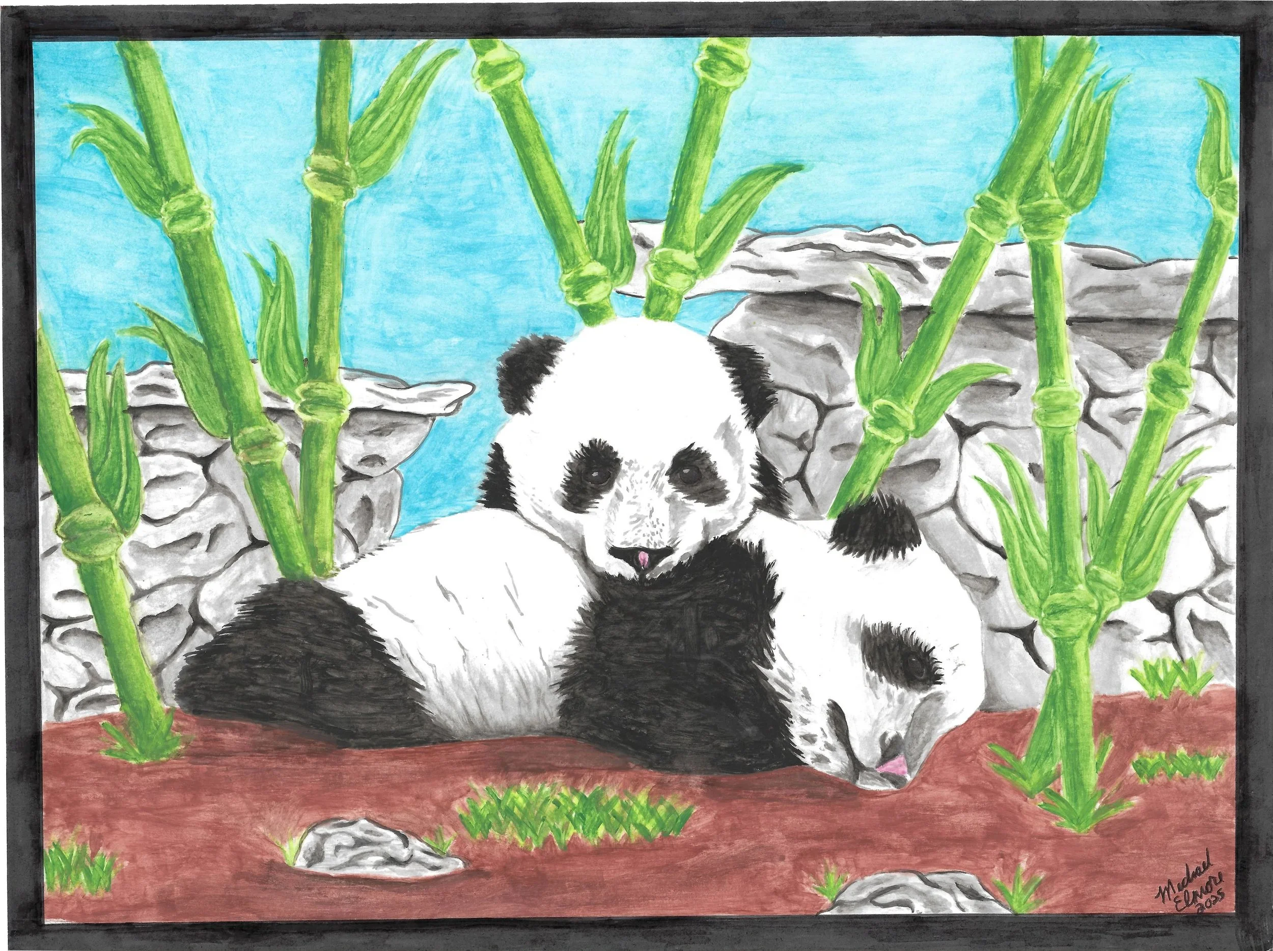 "Untitled #2", paint on paper, 2025. Two pandas sleeping among bamboo shoots