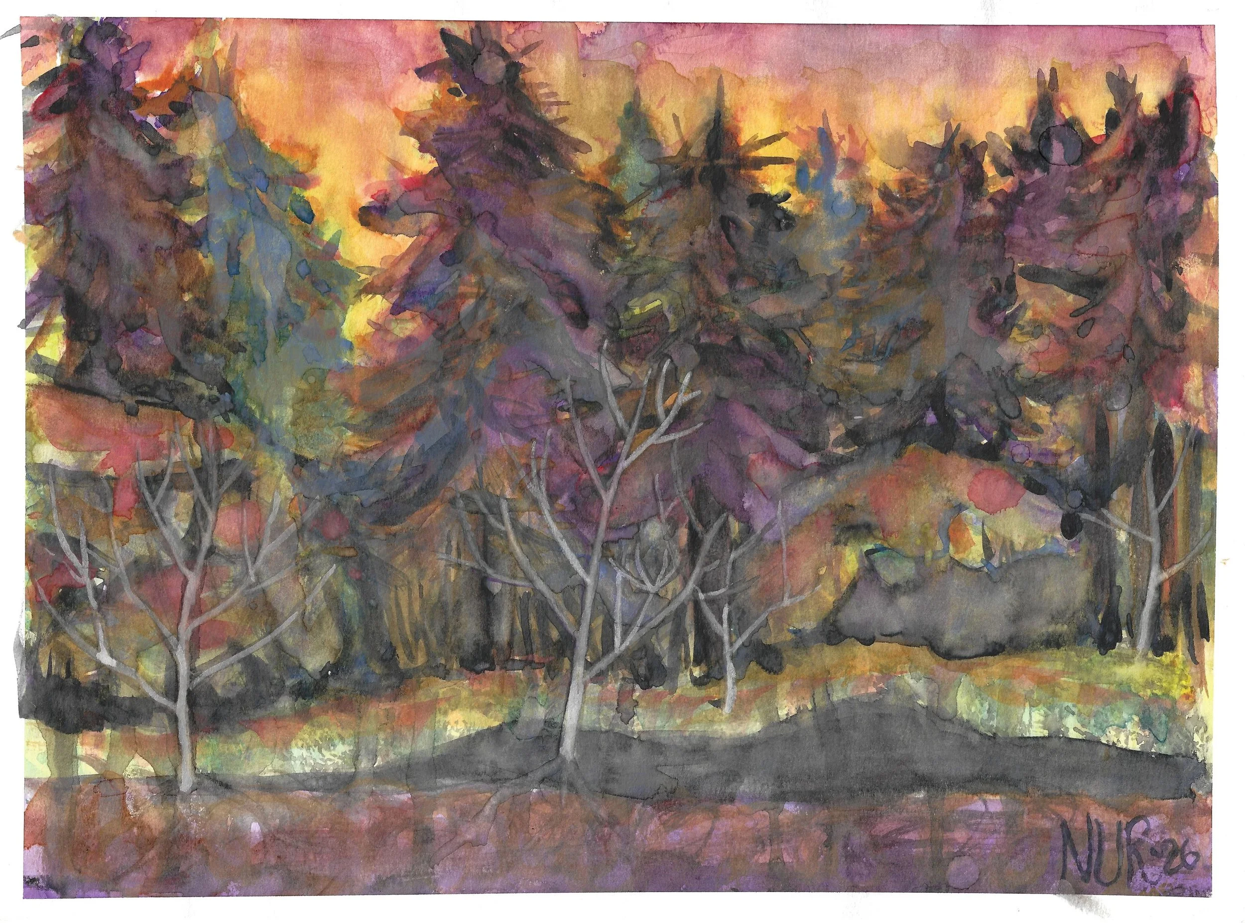 "Ghost Trees" / 2026 / Watercolor on paper / 9 " x 12" / FOR SALE $10-20. Above multiple layers of colors stacked from the bottom horizontally of the frame. A silhouette of dark fir trees block the horizon line with a orange and yellow sky behind. tr