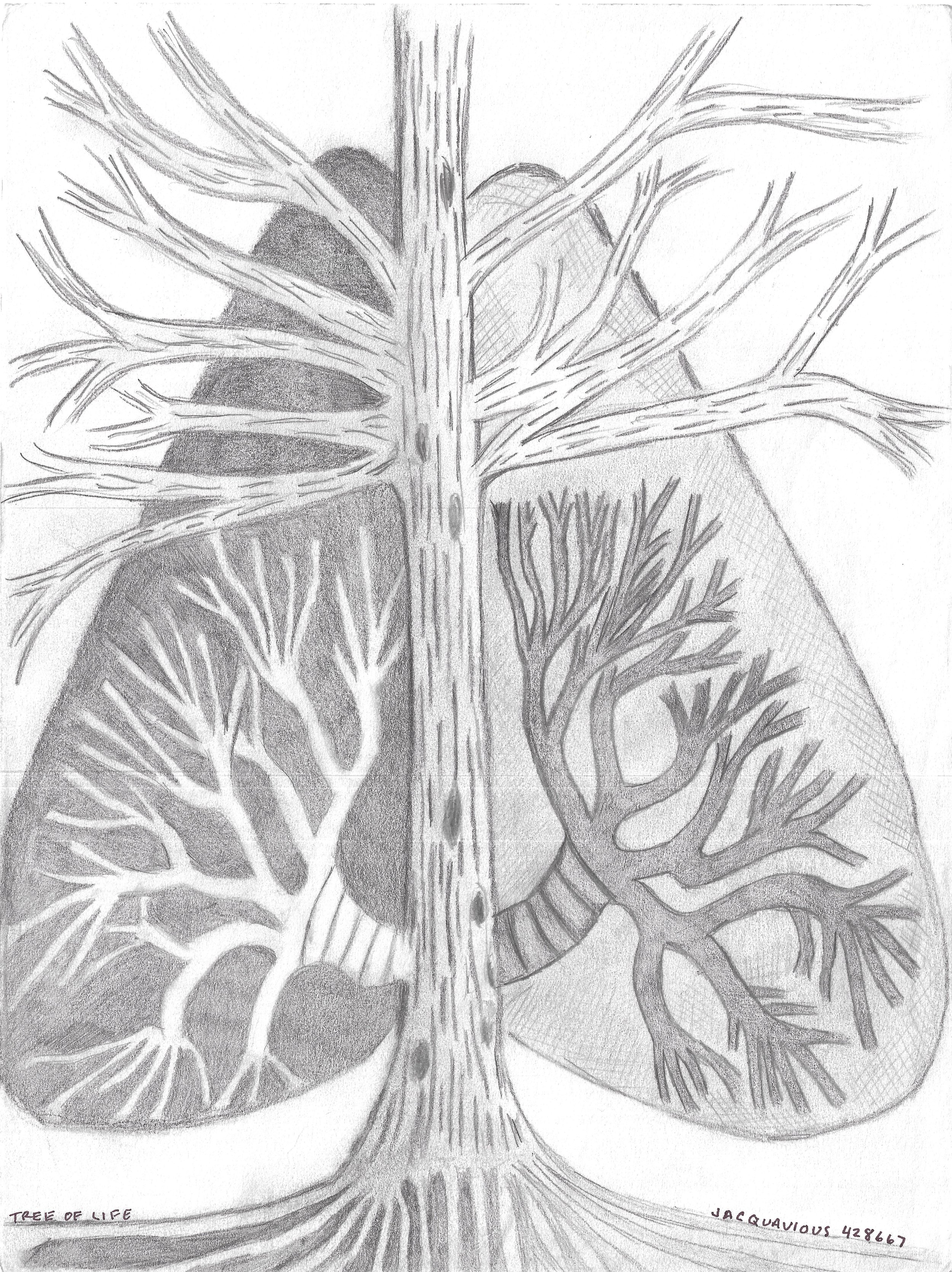An abstract heart with a tree growing through it, its branches representing arteries and veins