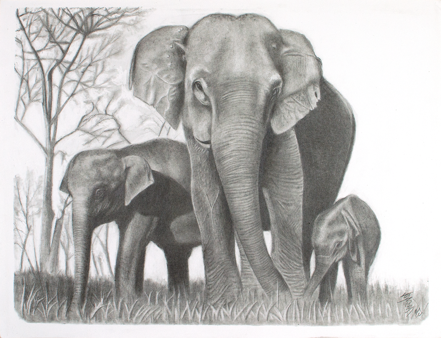 Black and white graphite artwork of a group of three elephants, a mother and two babies