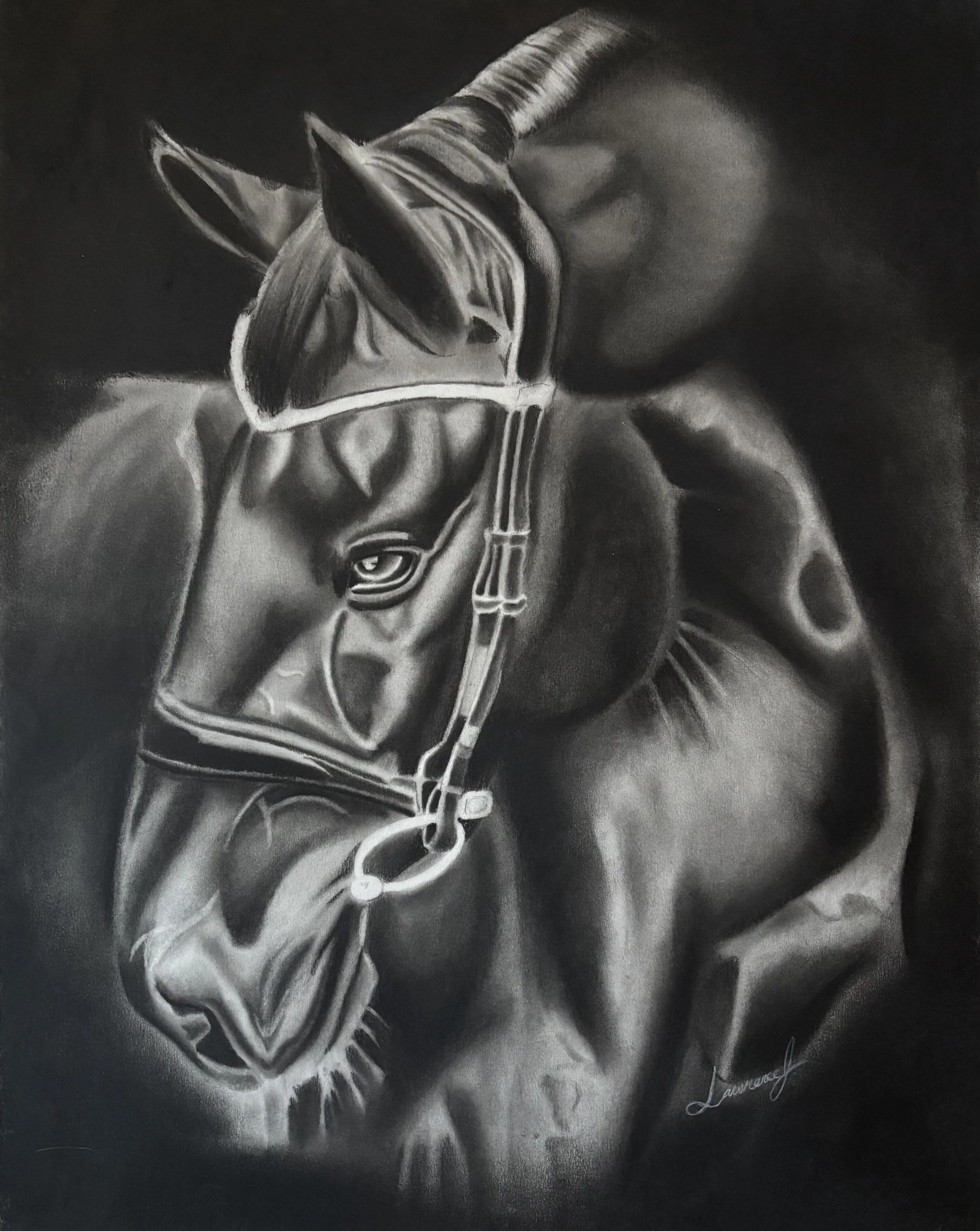 "Untitled #3", charcoal, 24"x19". Black and gray depiction of a horse wearing a bit and reins