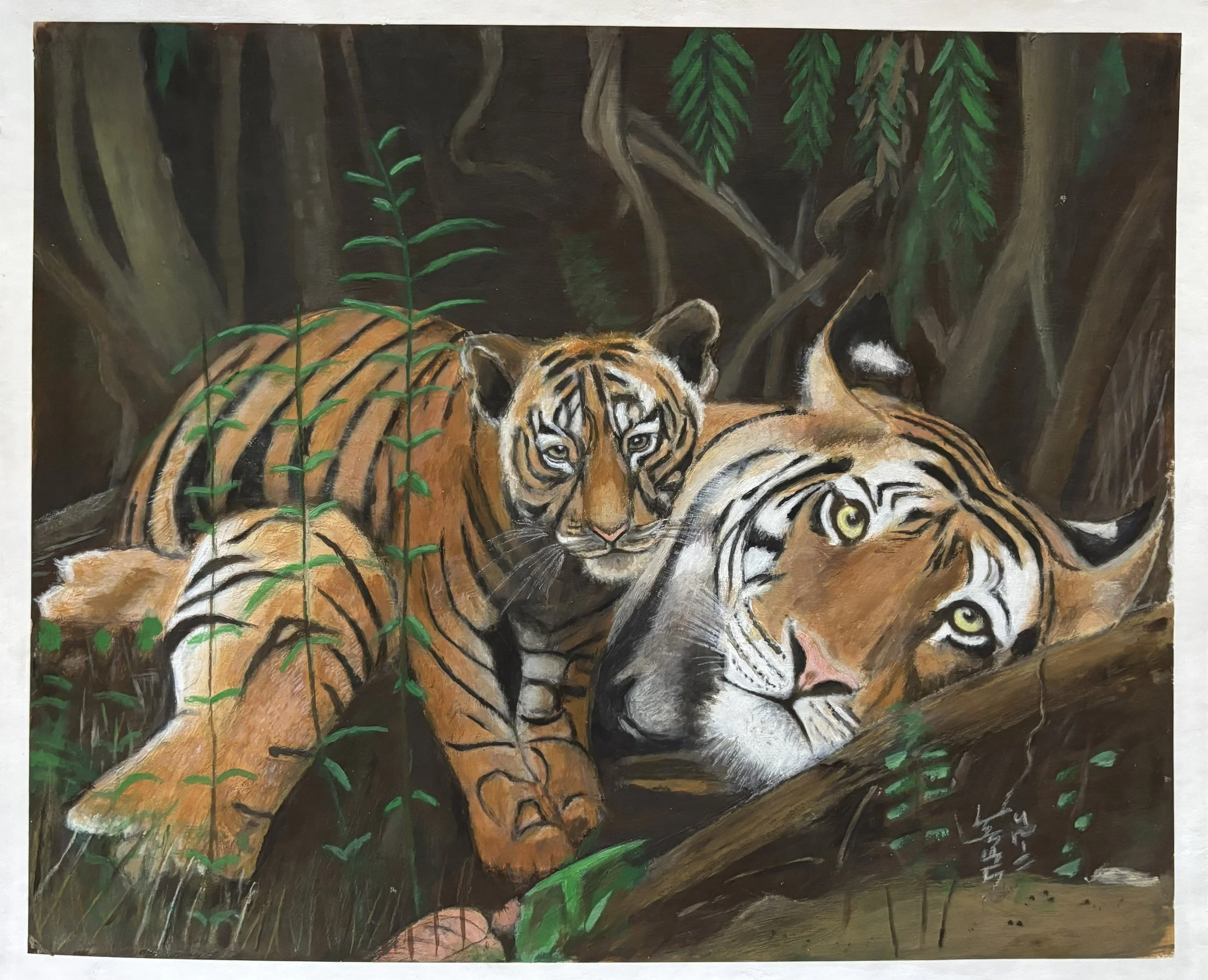 "Untitled #1" / Color pencil on paper / 14" x 17". A tiger sprawled on the forest floor with a tiger cub laying on its back. There are tree roots and vines in the background