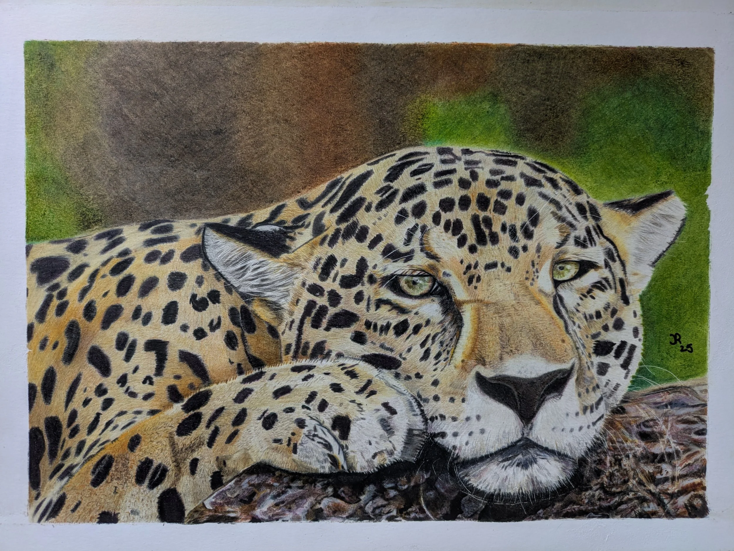 "Jaguar", artwork of a jaguar resting