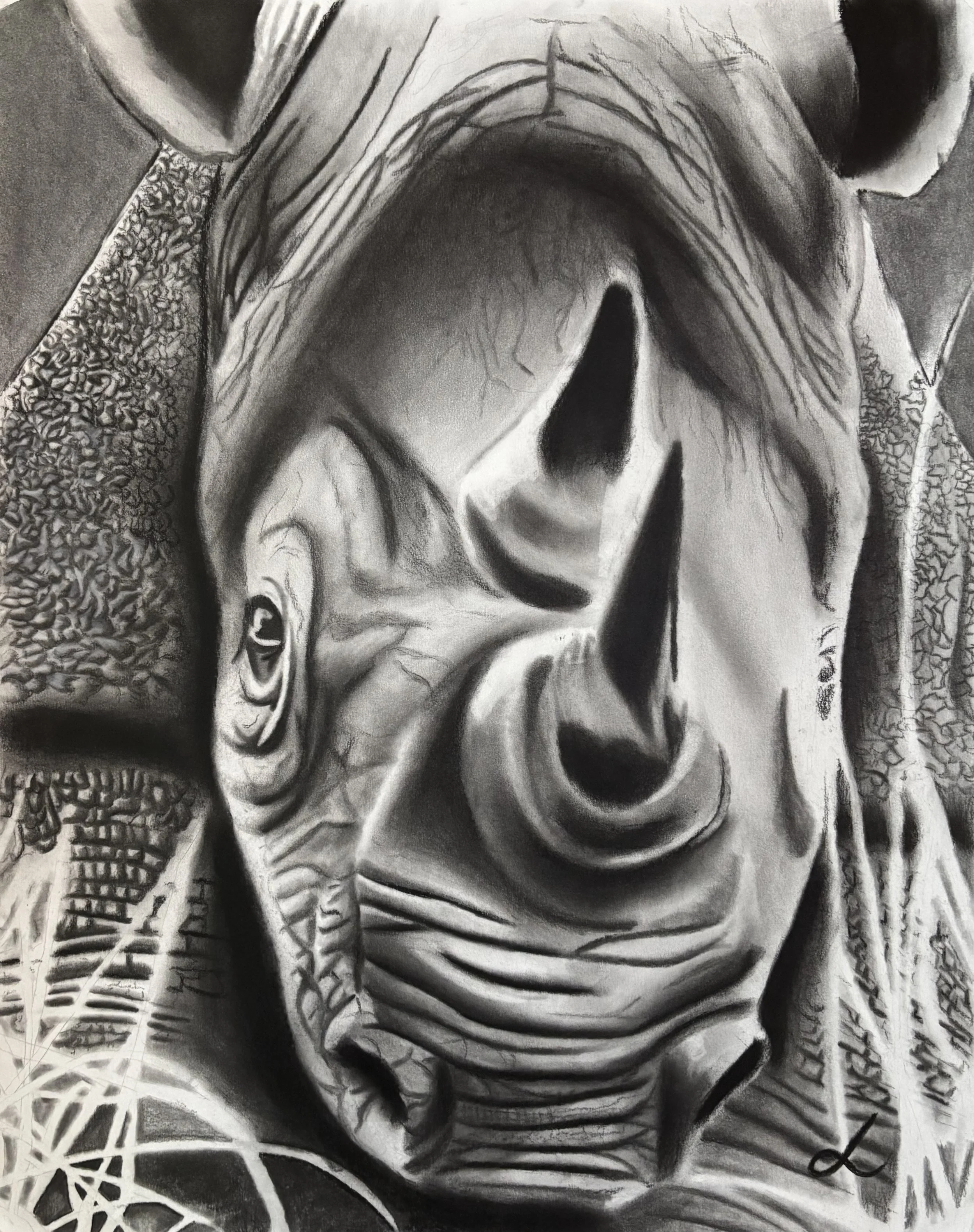 "Untitled #4", charcoal on paper, 2025, 24"x18". Black-and-white depiction of the rhino, looking imposing and facing the viewer head on