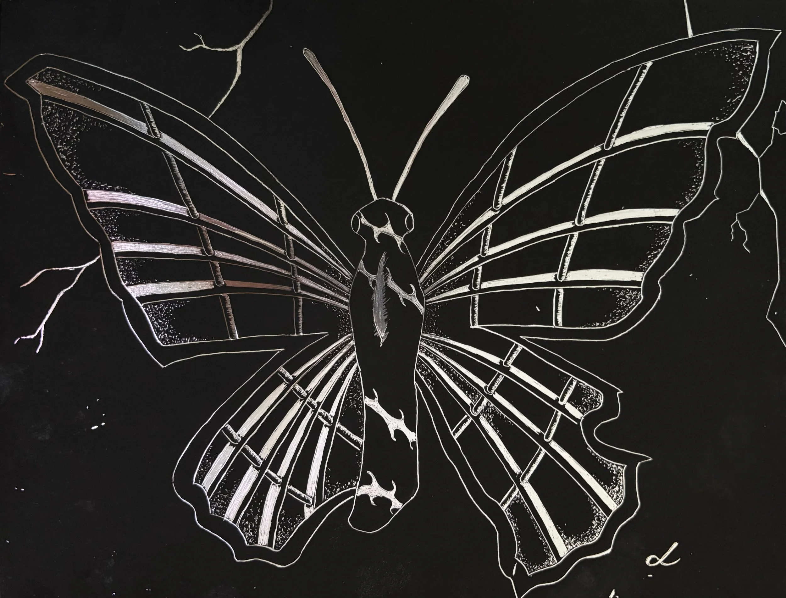 "Butterfly", etching, 2025, 8.5"x11". An silver butterfly etched from black paper based off of the gynoandromorph of the common blue butterfly. The details in the asymmetrical wings resemble the bars of a prison cell. Behind the butterfly are streaks