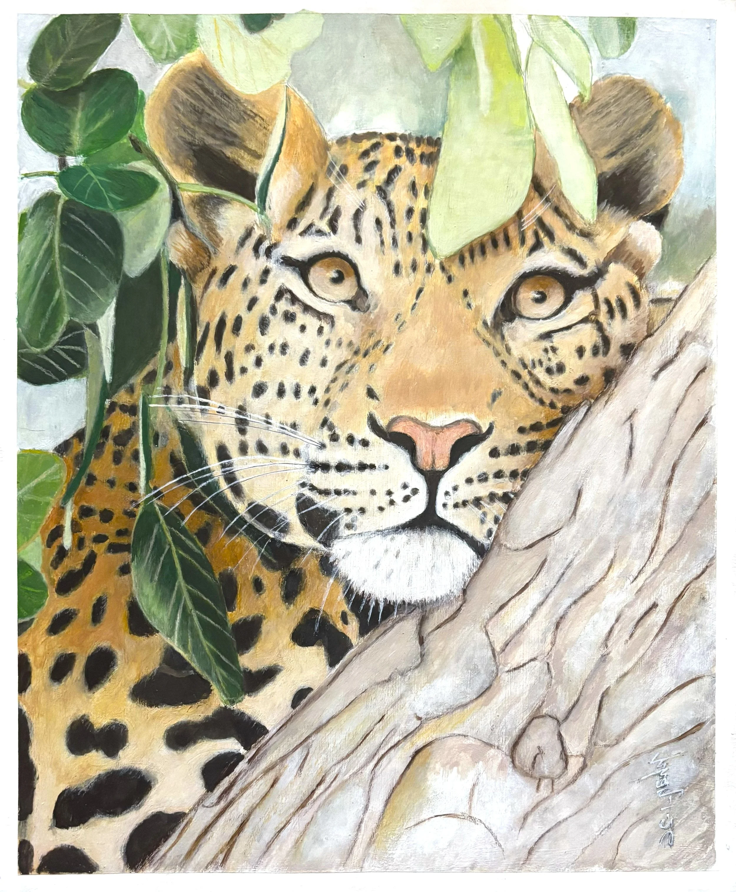 "Untitled #2" / Color pencil on paper / 17" x 14". A leopard resting its head on a branch with leaves in the background and foreground partially covering the top of the leopard's head