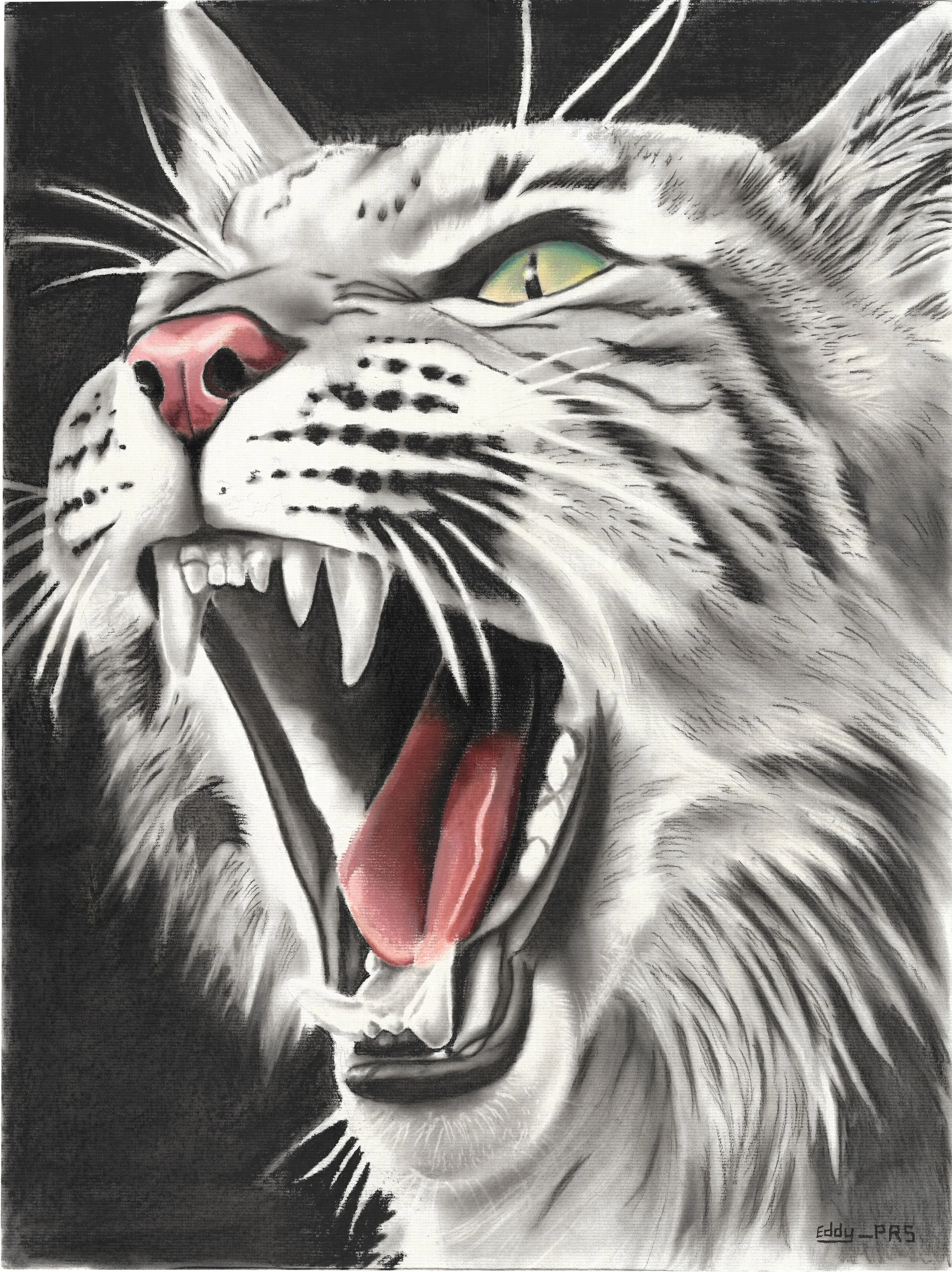 "Lynx", pastel on paper, 2025, 24"x19". A lynx with white and black coloring, its mouth open, snarling