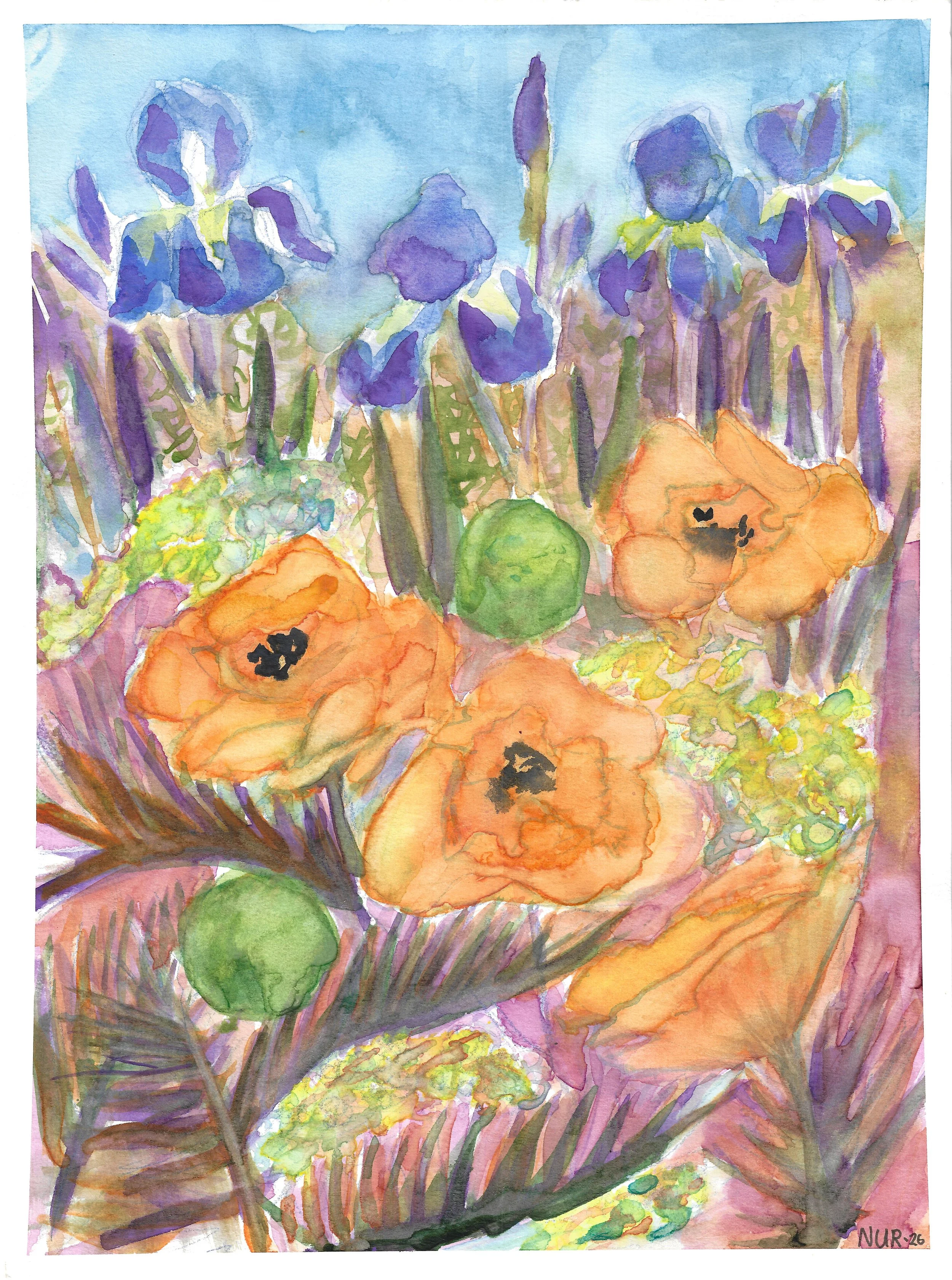 "Garden Fantasie" / 2026 / Watercolor on paper / 9 " x 12" / FOR SALE $10-20. A floral garden scene depicting three blooming poppies and spherical buds with clusters of white yarrow laced around the large orange papery poppy petals. Dark spiky poppy 
