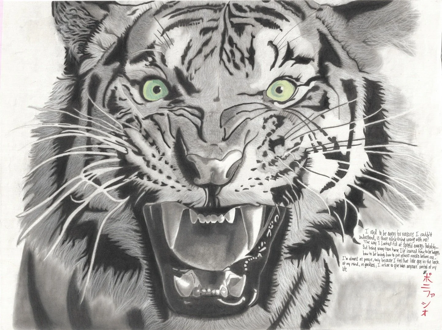 "Tiger" / 2025 / Charcoal on paper / 19" x 24". A tiger mid-growl with bright pale green eyes. The tiger's face takes up most of the frame. There is a paragraph of text in the bottom right that begins "I used to be angry for reasons I couldn't unders