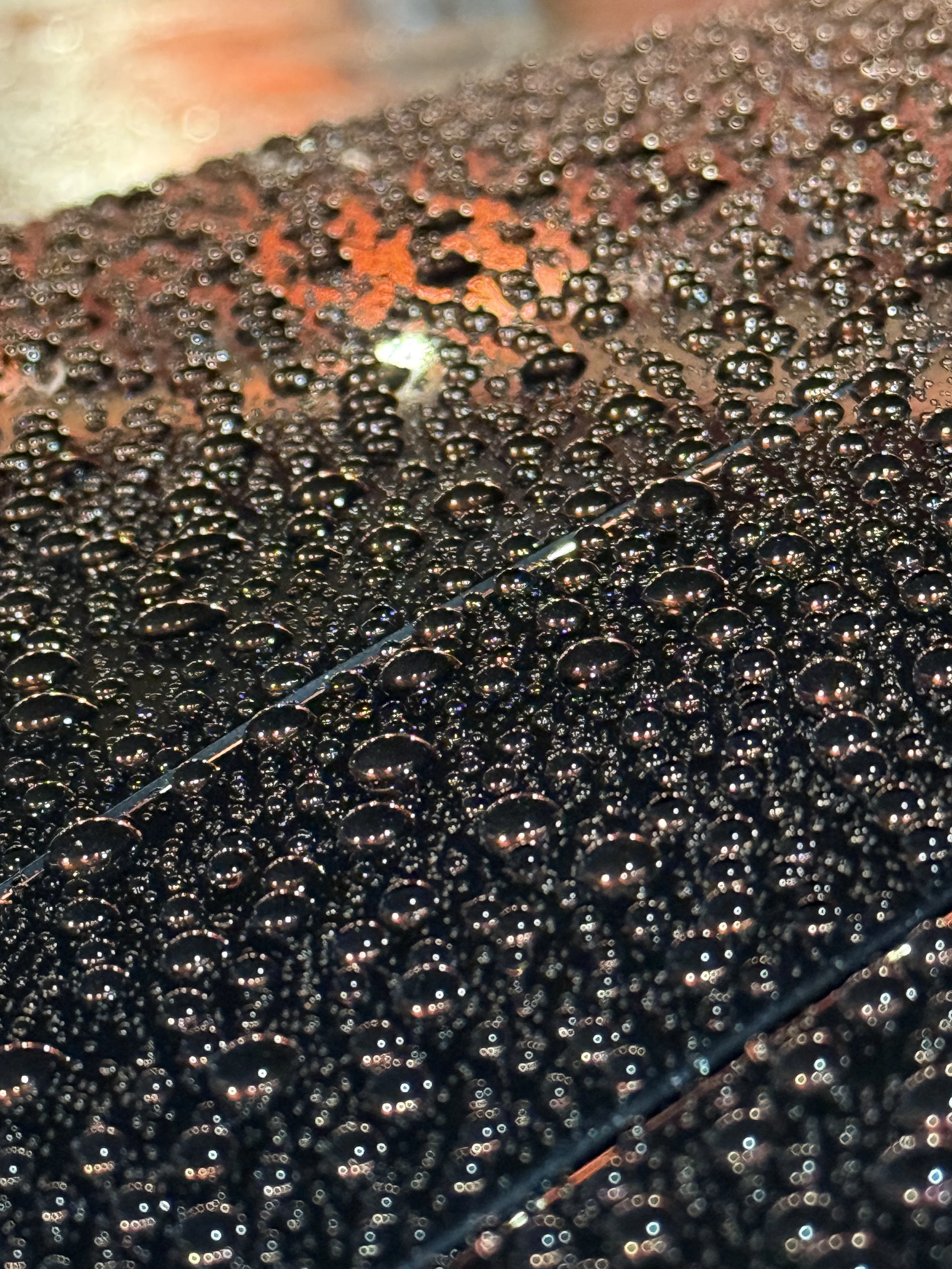 Close-up of hydrophobic water beads on ceramic coated car paint in Wollongong.