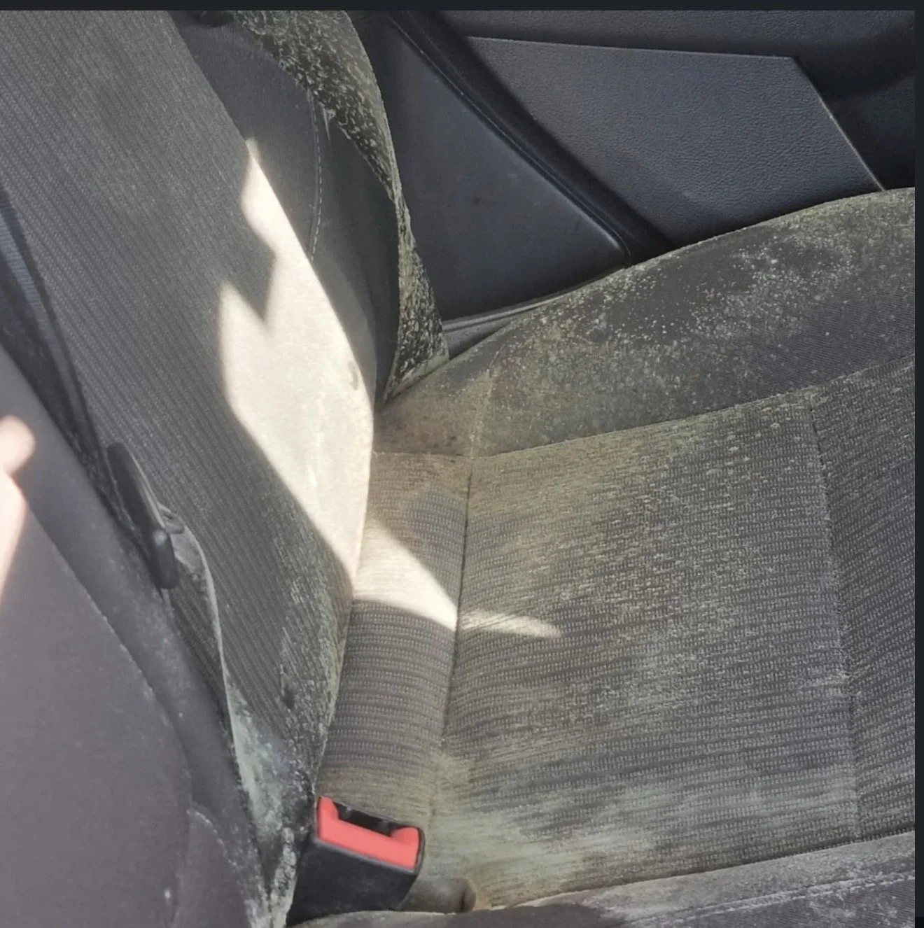 Dirty car backseat with dust and debris on the seats and backrest.