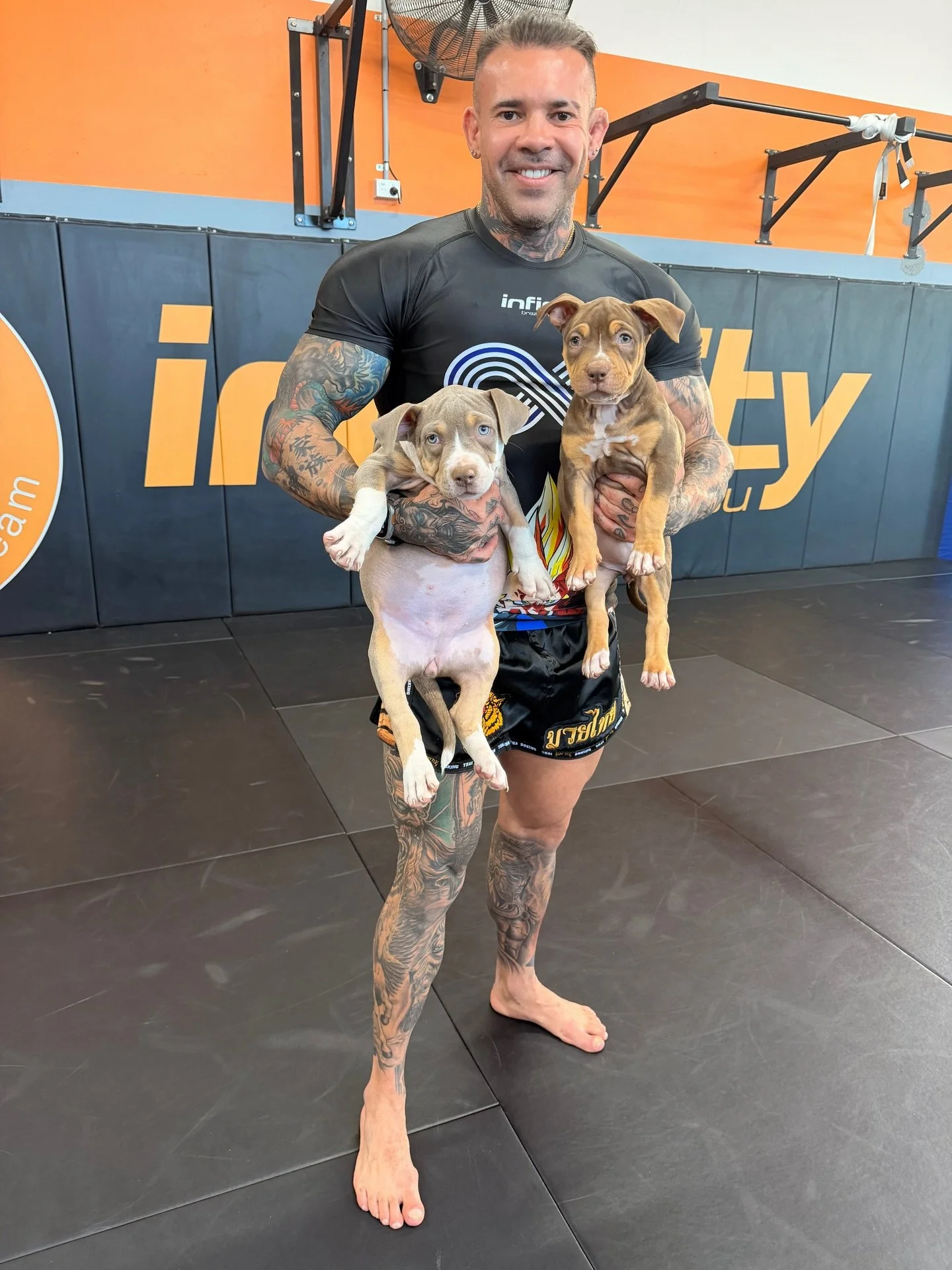Puppies came for a visit at the gym. 
@infinitystafford  @olympian.kennels

#puppies #americanbully #americanbullypupoies #brazilianjiujitsu #infinitystafford