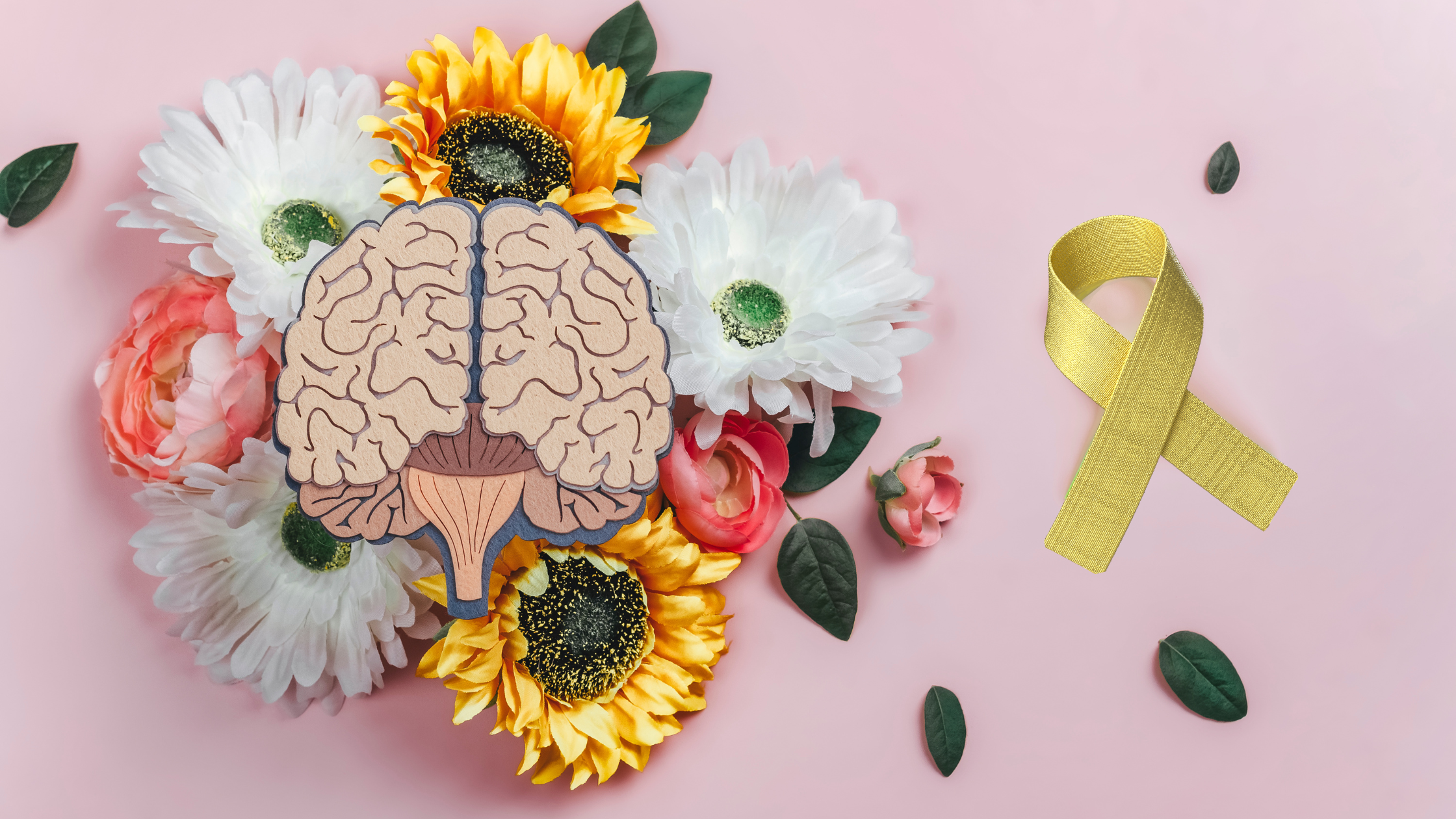 Reclaiming the Narrative: Misdiagnosis, Misinformation, and Misogyny