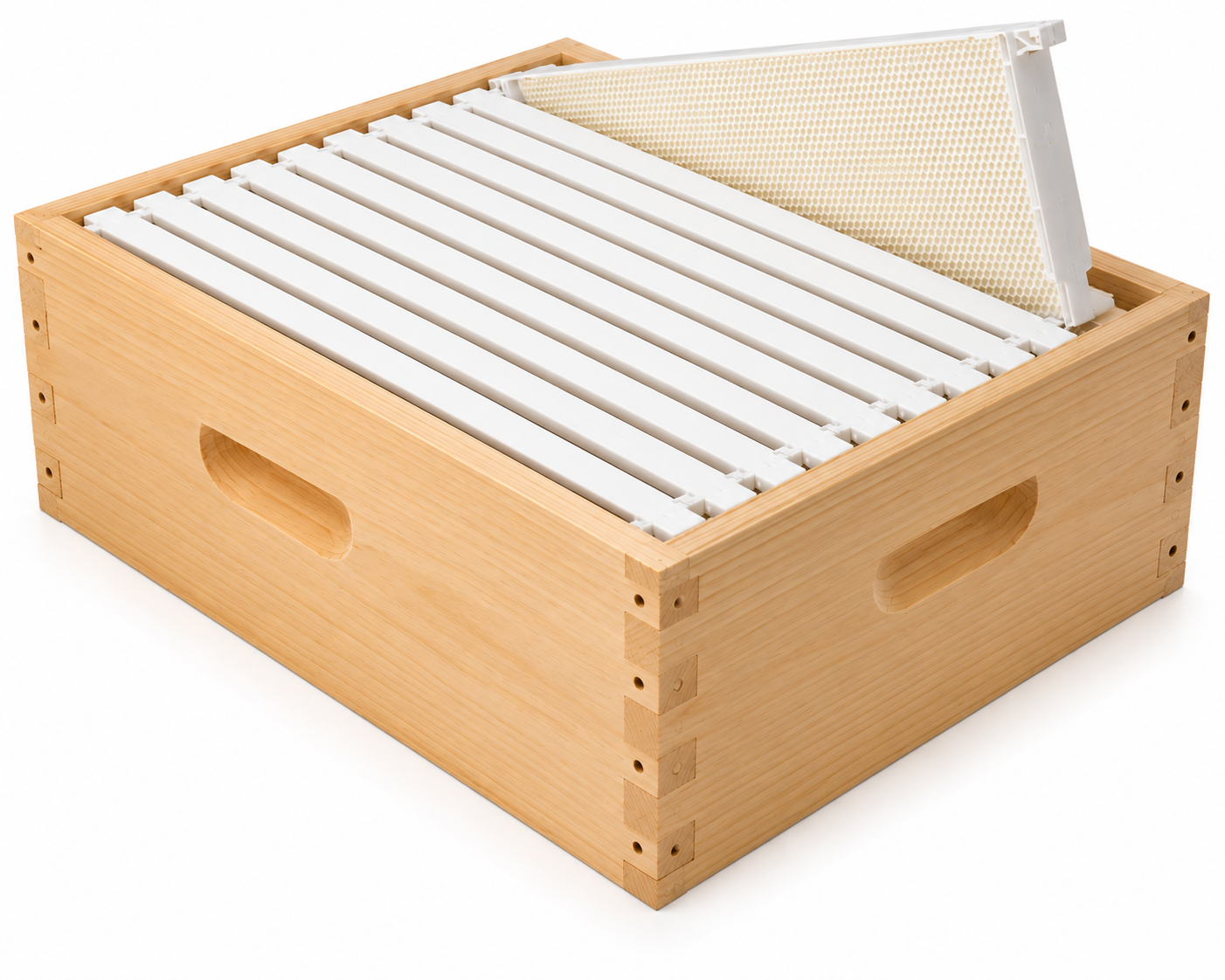 Medium Box with Plastic Frames – Assembled – 10 Frame
