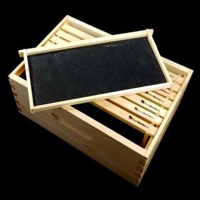 8-F Deep Box with Wooden Frames and Plastic Foundation4.jpg