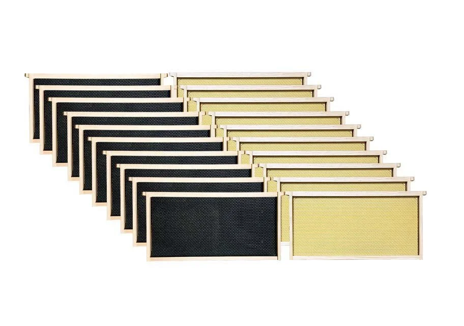8063__93669.jpg