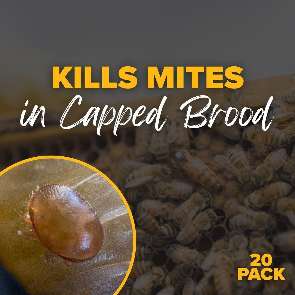 DC803_DC808_VarroxSan_-_Kills_Mites_in_Capped_Brood_2__66051.jpg