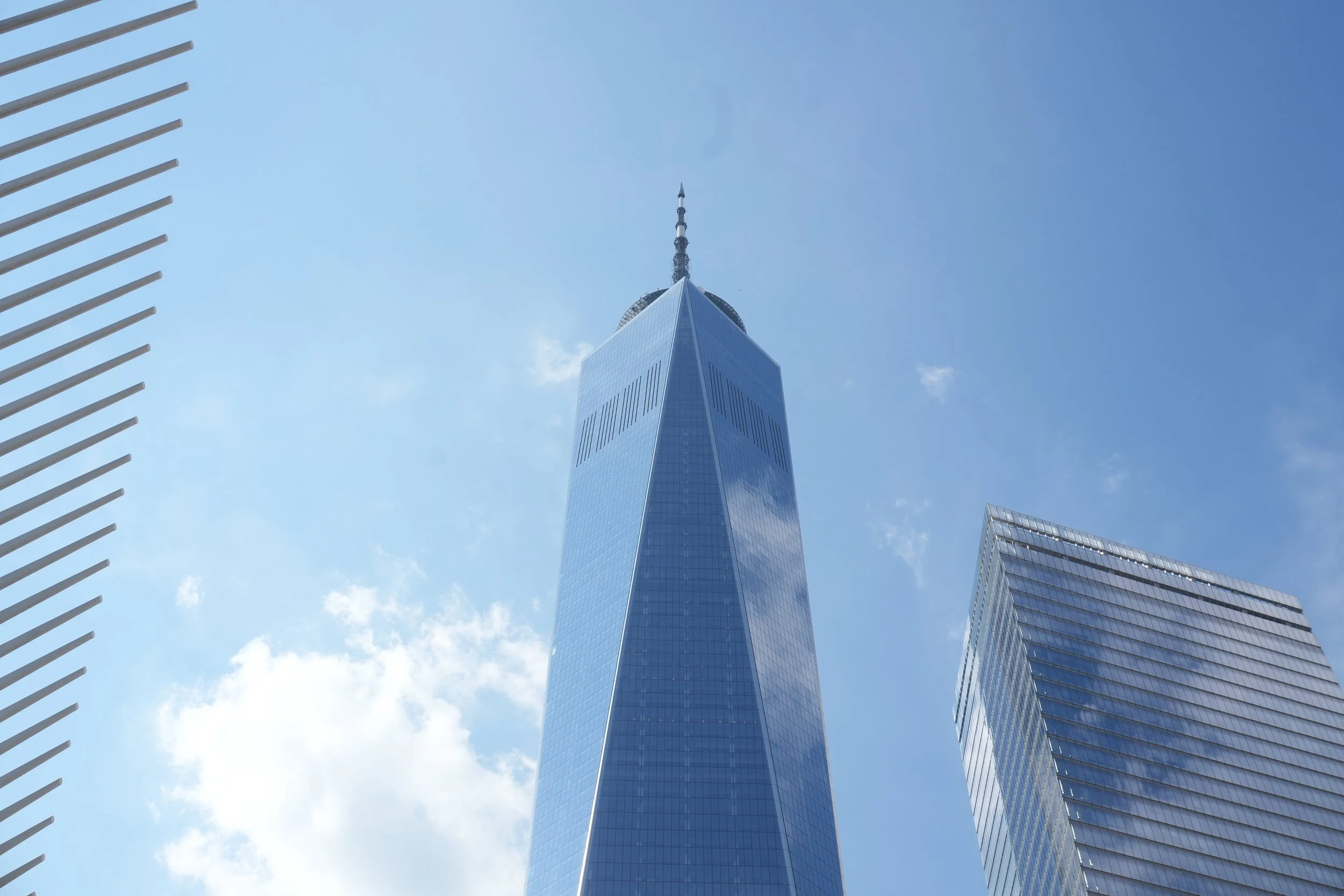 DSC08822.jpg