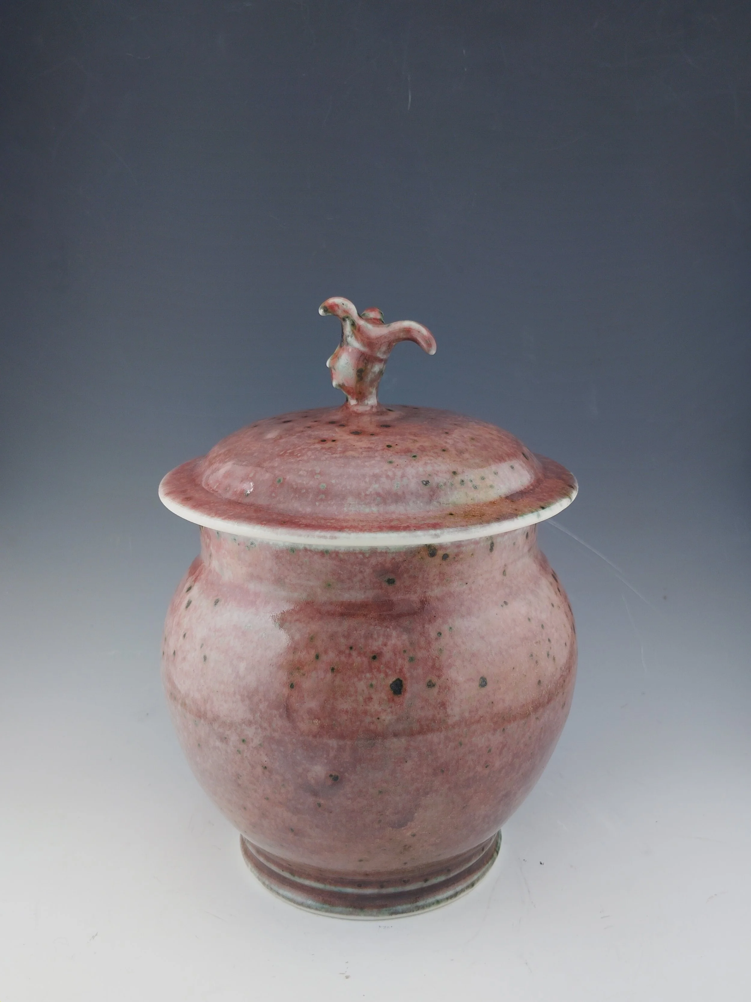 IMG_20250615_121119 (1).jpg