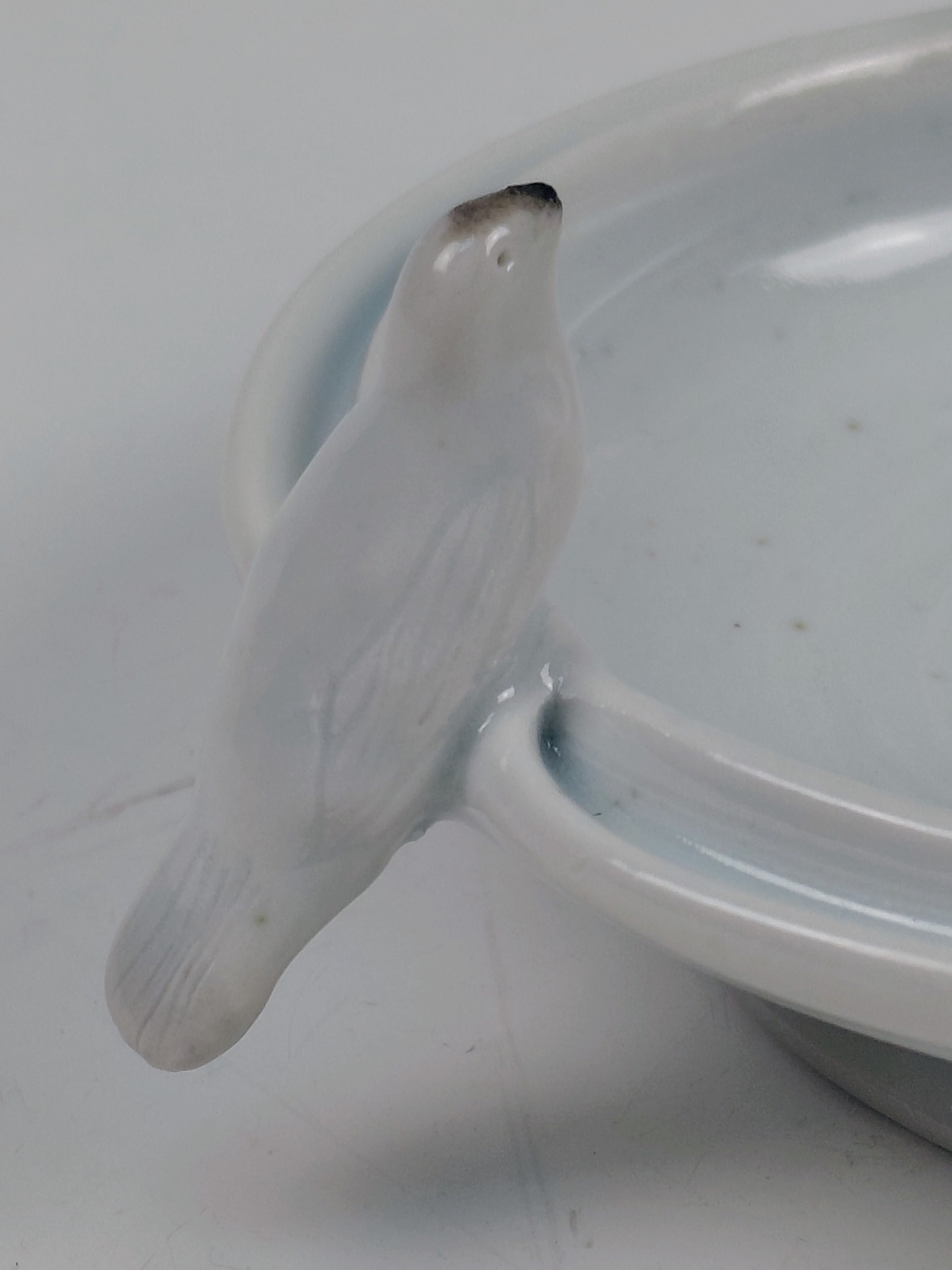 20260211_182630 (1).jpg