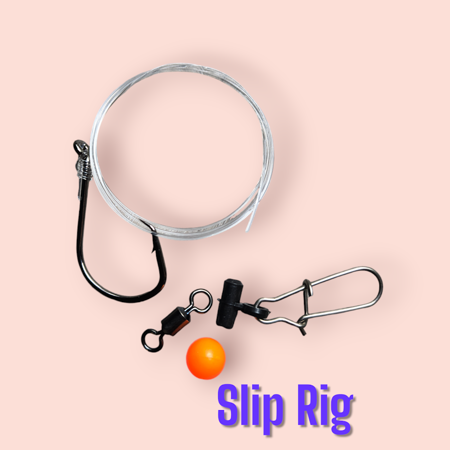 Photoroom-20241014_121639.png