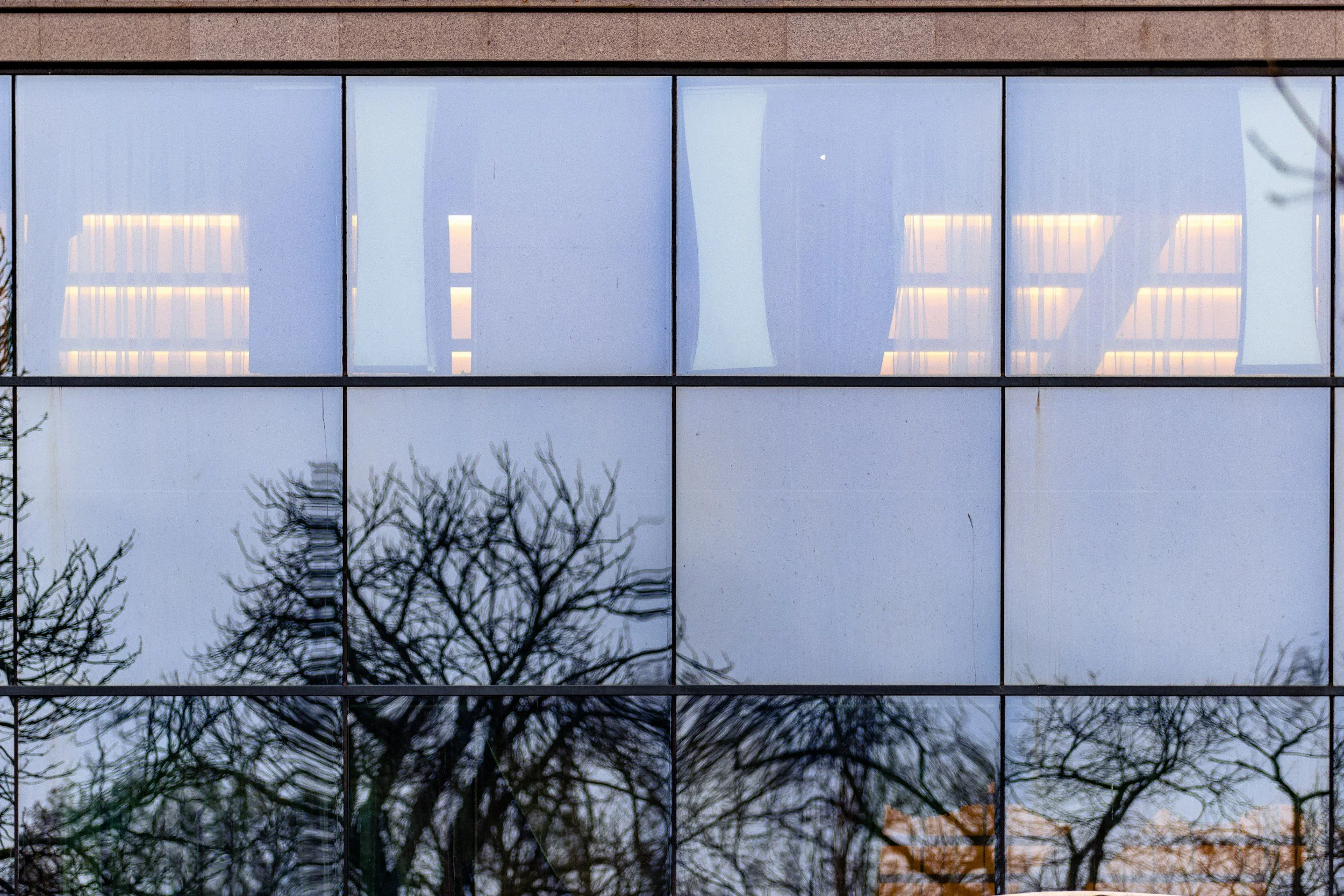 Why Transparency Matters in Carbon Credits, and How to Get It Right