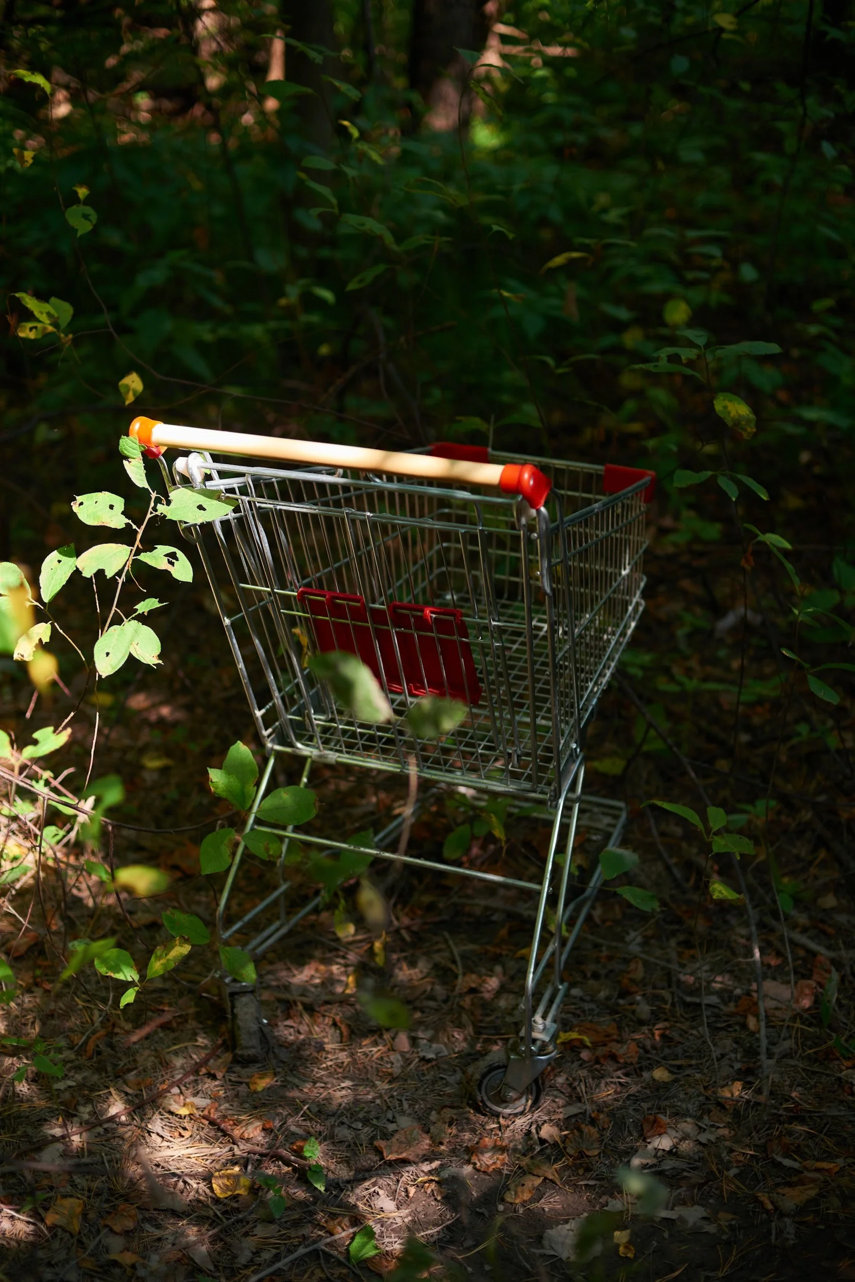 What Buyers Actually Ask For in a Carbon Credit Procurement Request for Proposal