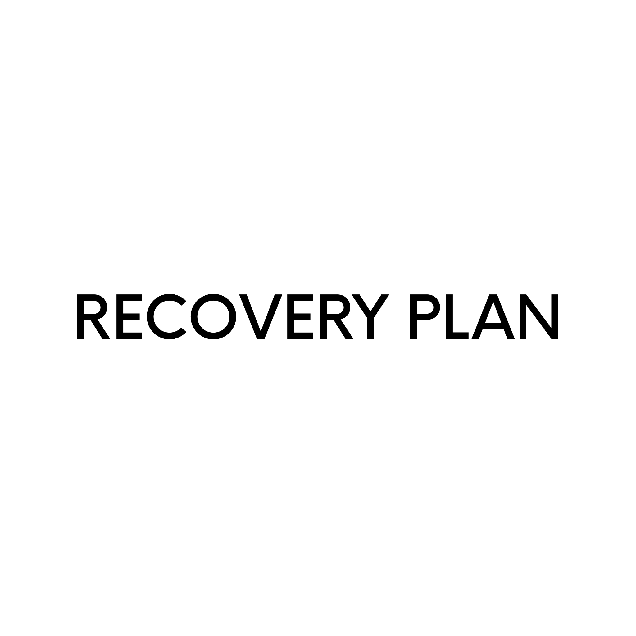 RECOVERY PLAN