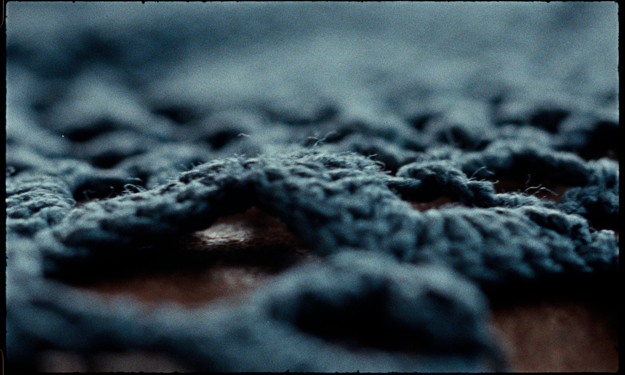 Bacigalupo_Stills_020.png